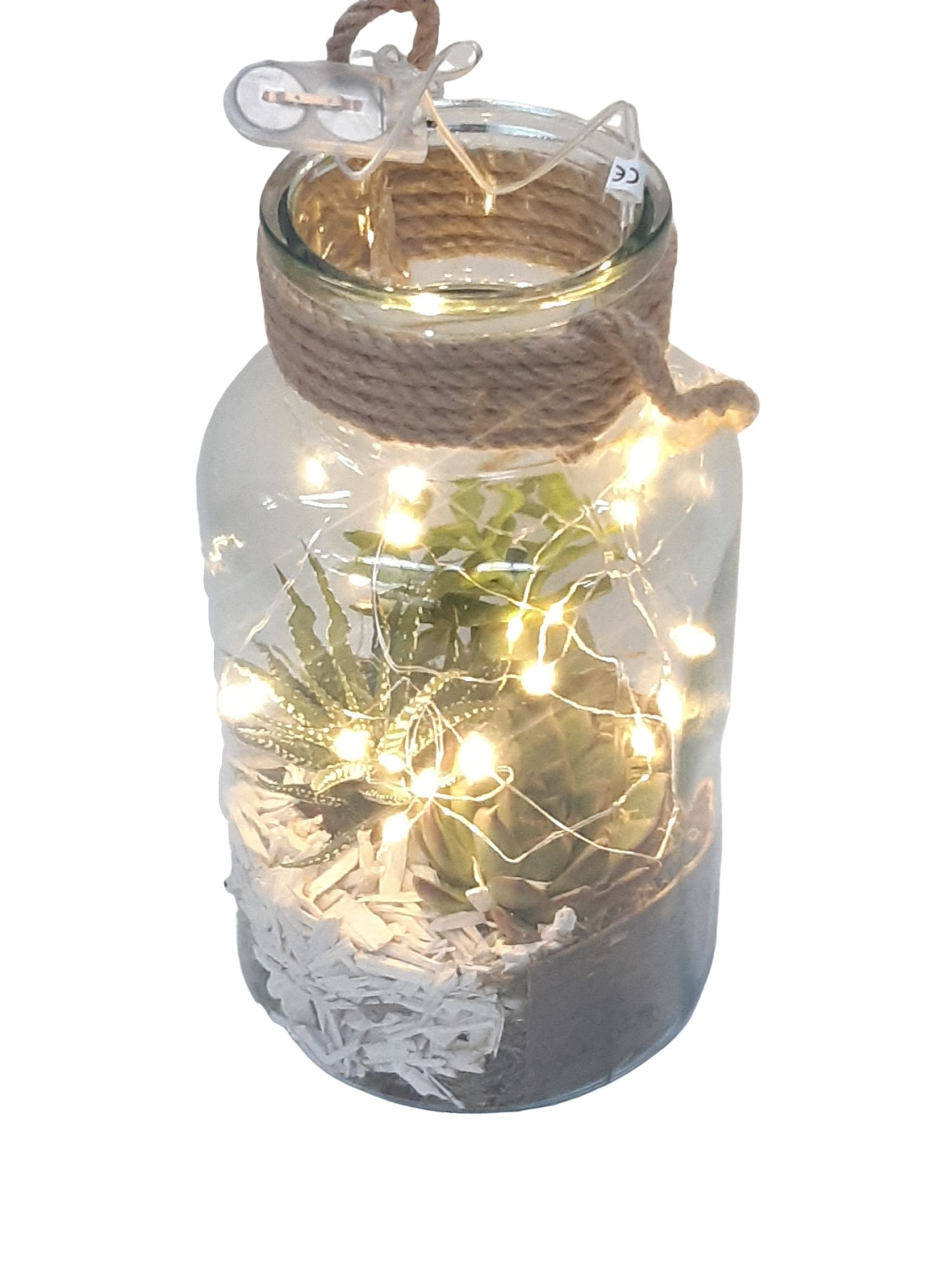 814LED Terrarium 14/26 mini Succulentmix LED light + Battery, D 14 cm
