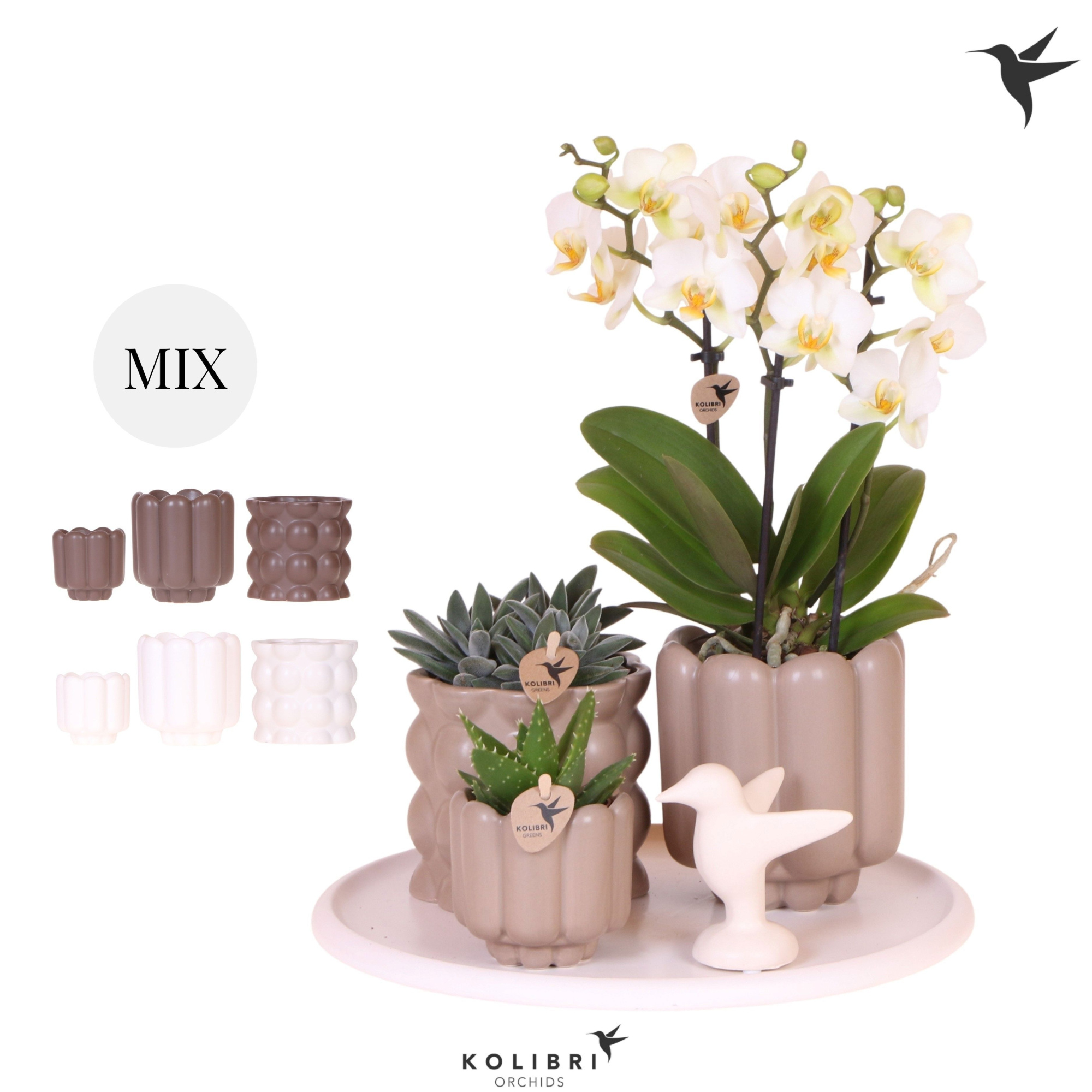 Kolibri Gift Set Slow Living, D 30