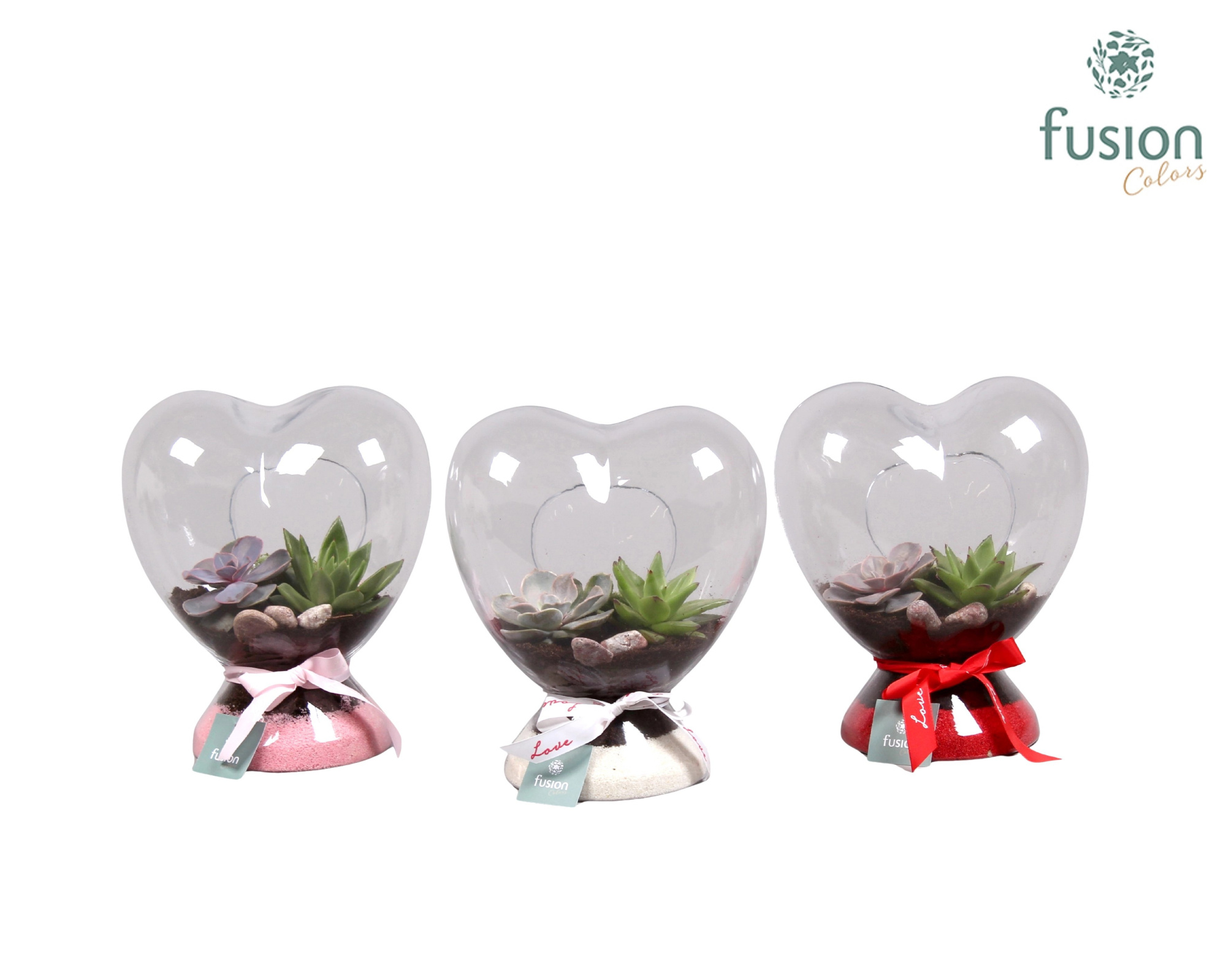 Green Bottle hart met succulenten, D 21