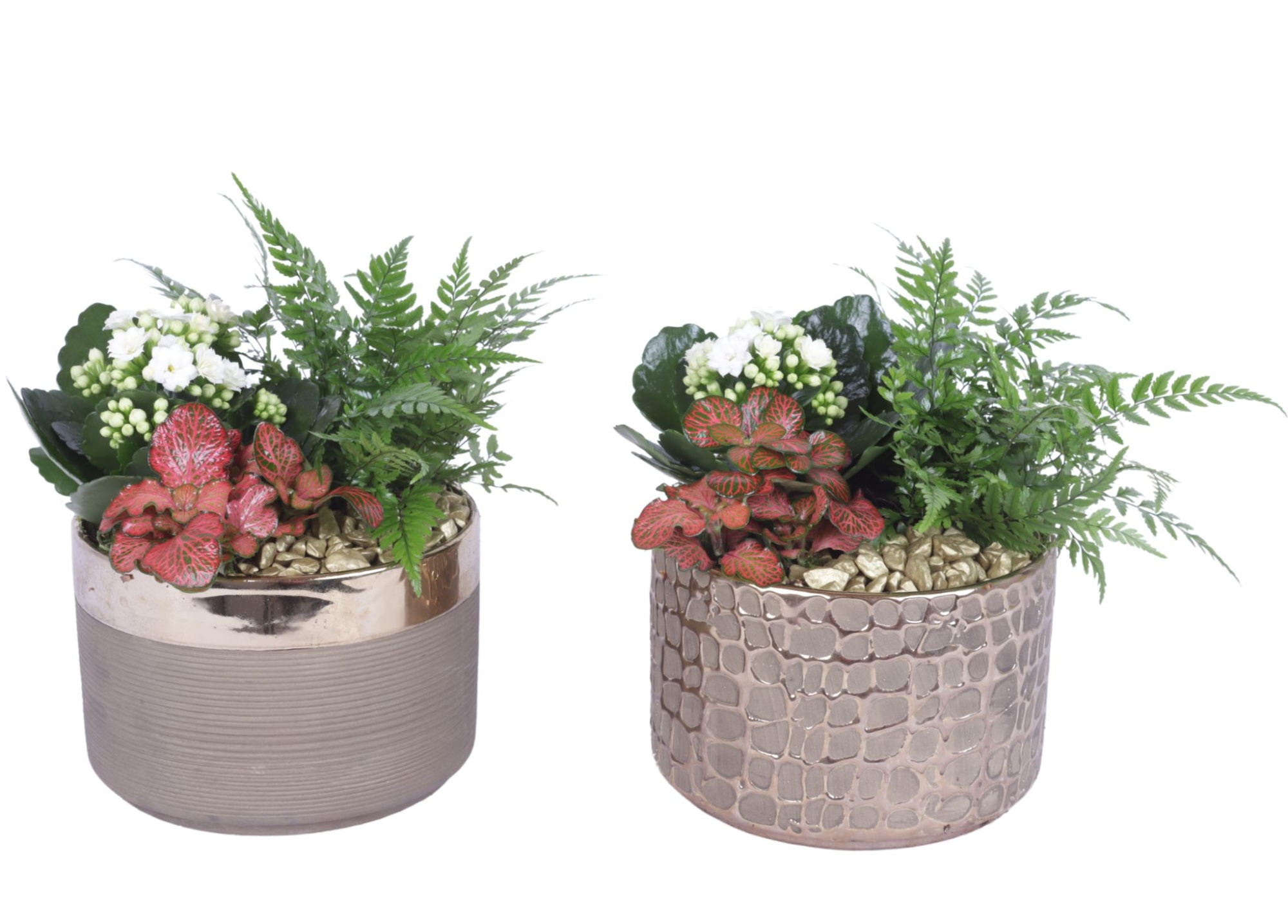 Yearround Arr. Indoor Ceramic Pure Luxury N568 Ø17cm 3PP, D 17 cm