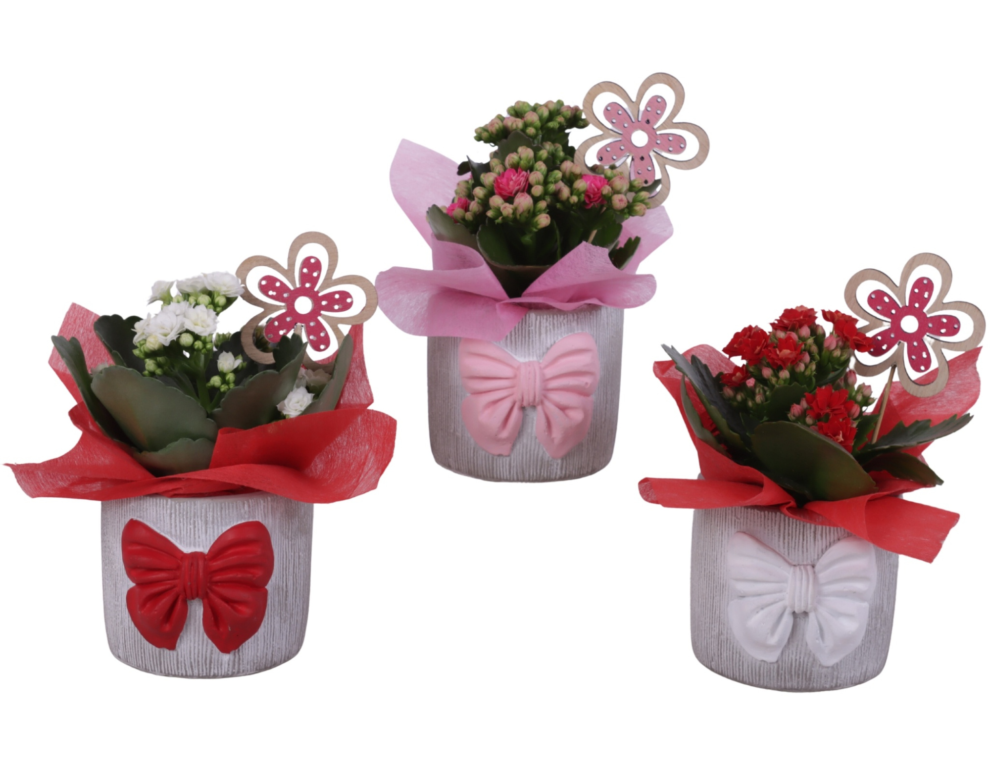 Womensday Arr. Indoor Ceramic Pot with Bow 3 Color Mix Ø10cm 1PP, D 10
