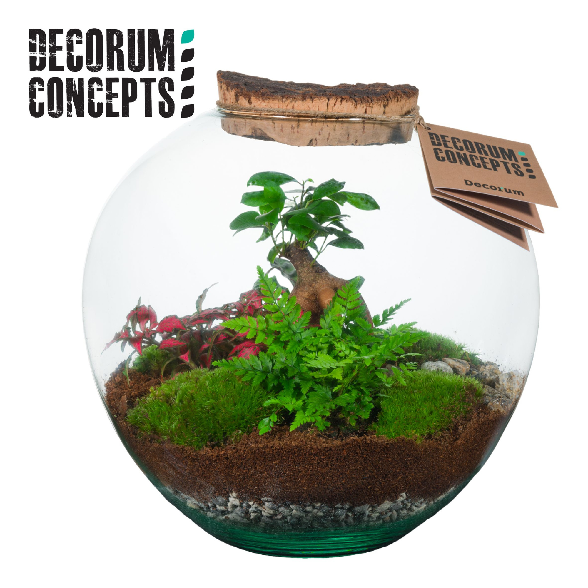Terrarium Moon medium (Decorum concepts), D 27 cm