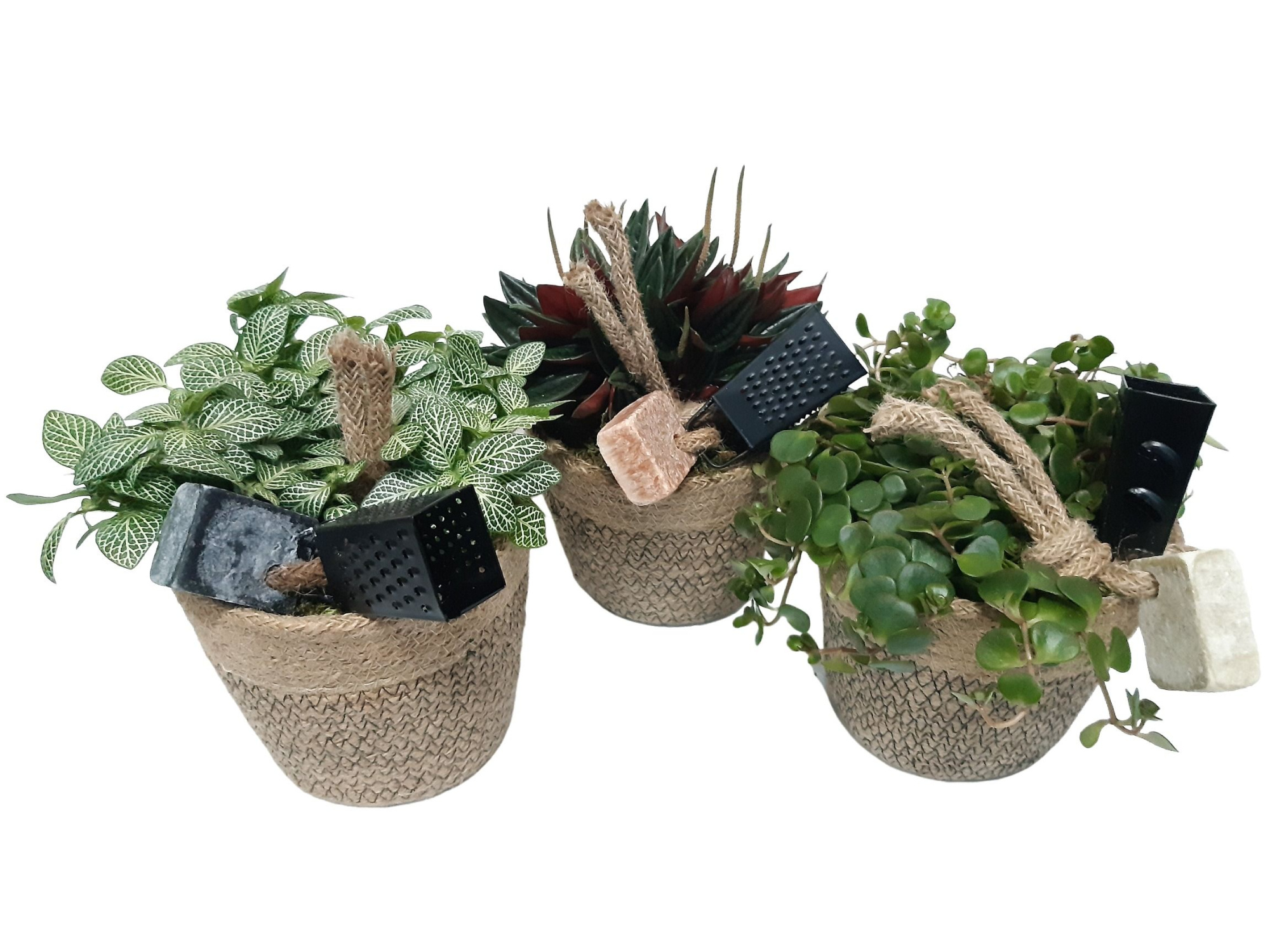 JM14ACD Jute mand D14cm Groenmix met Aroma Cube Deco, D 14