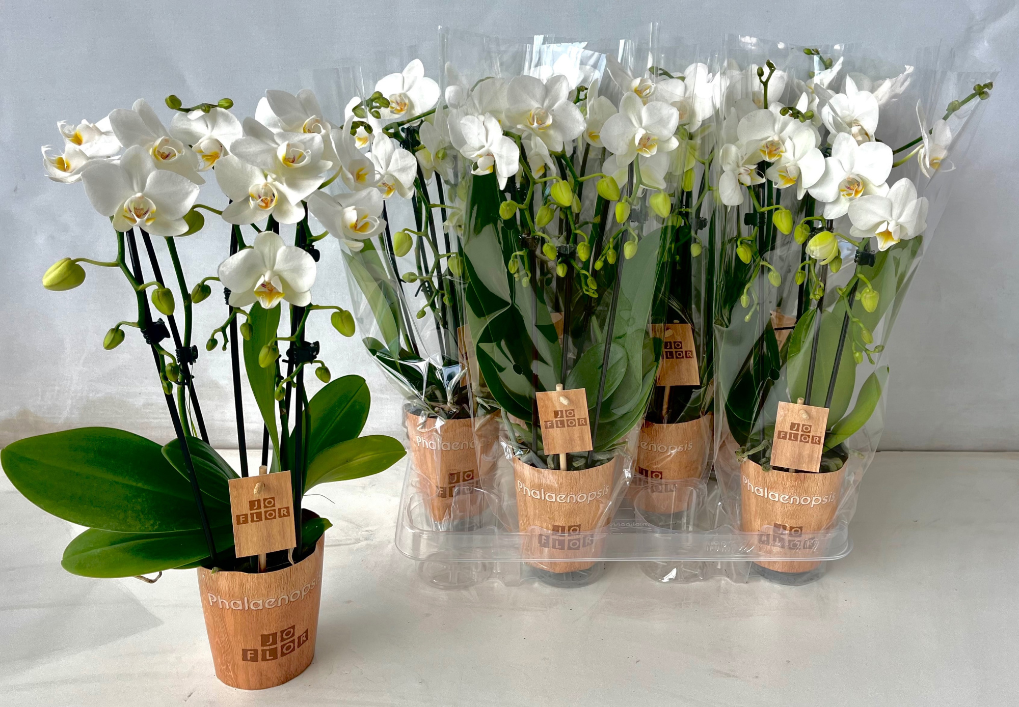 Cascade 3 tak, D 12 cm