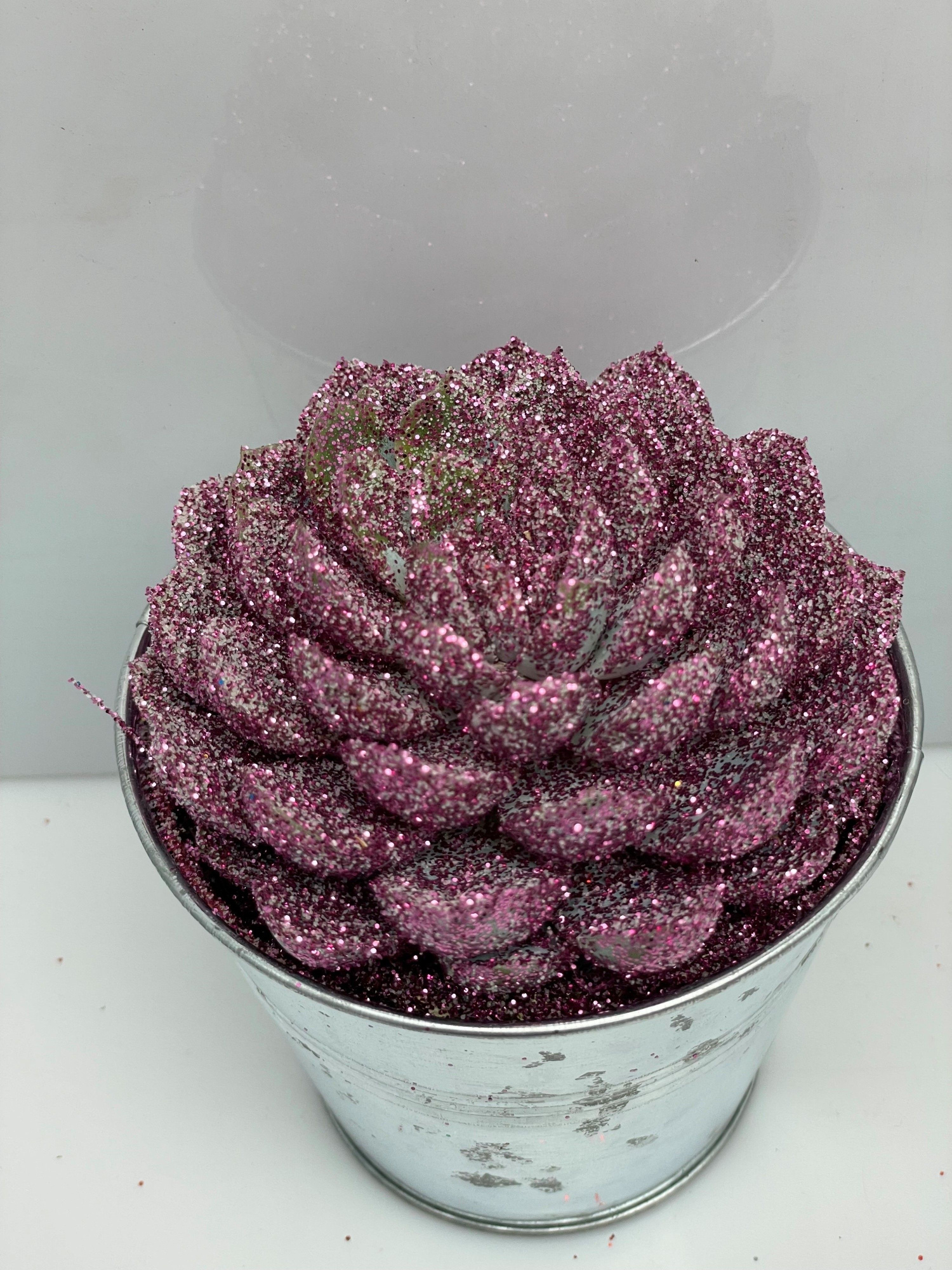 468kerstster BIO Twinkle glitter rose zinkpot8,5cm, D 9,5 cm