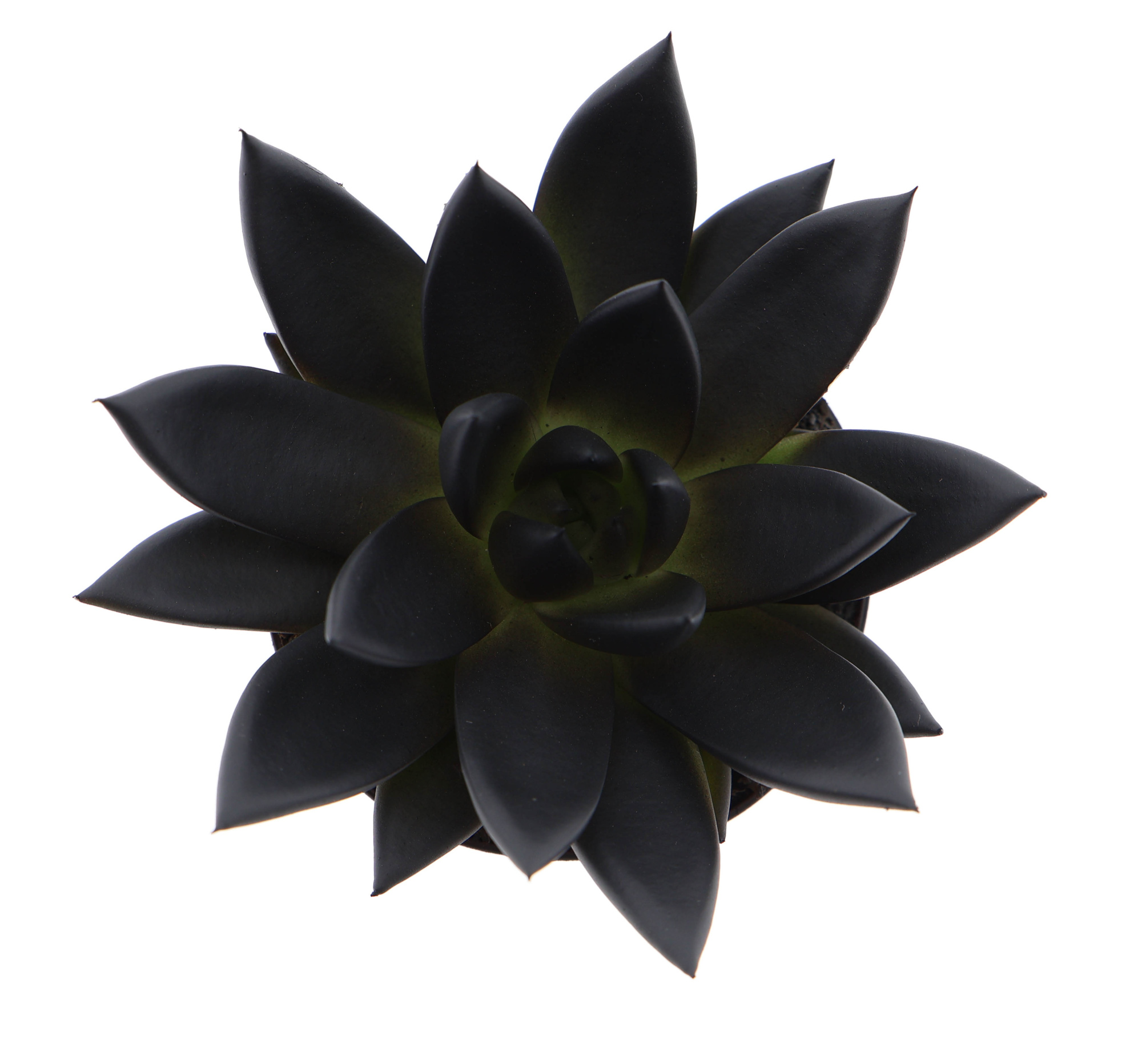 Rainbow deep black, D 8,5 cm