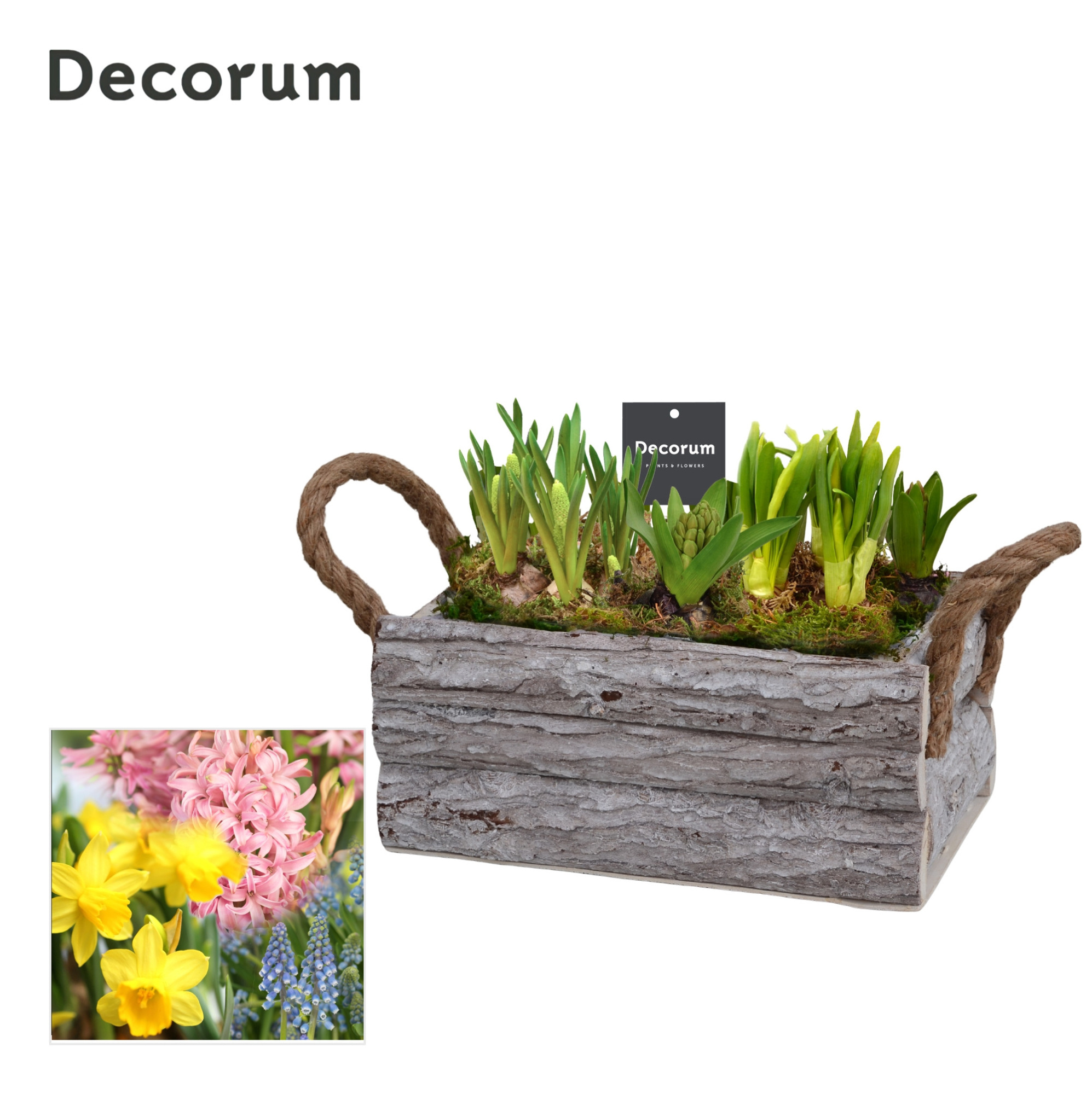 Bollenmix Twigs Box HL15793B, D 26 cm