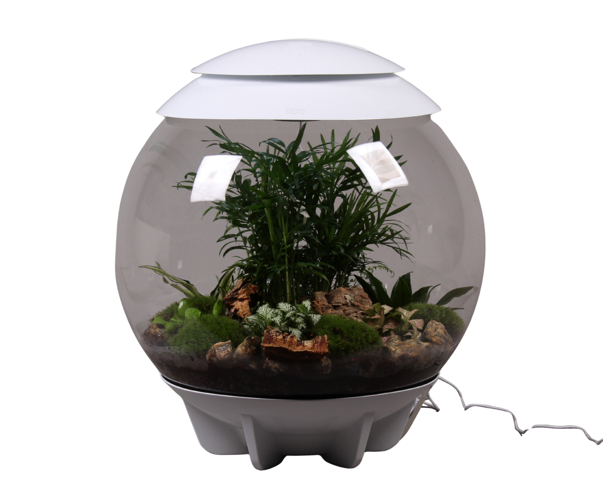 Terrarium XXL Exclusive wit met arrangement, D 45