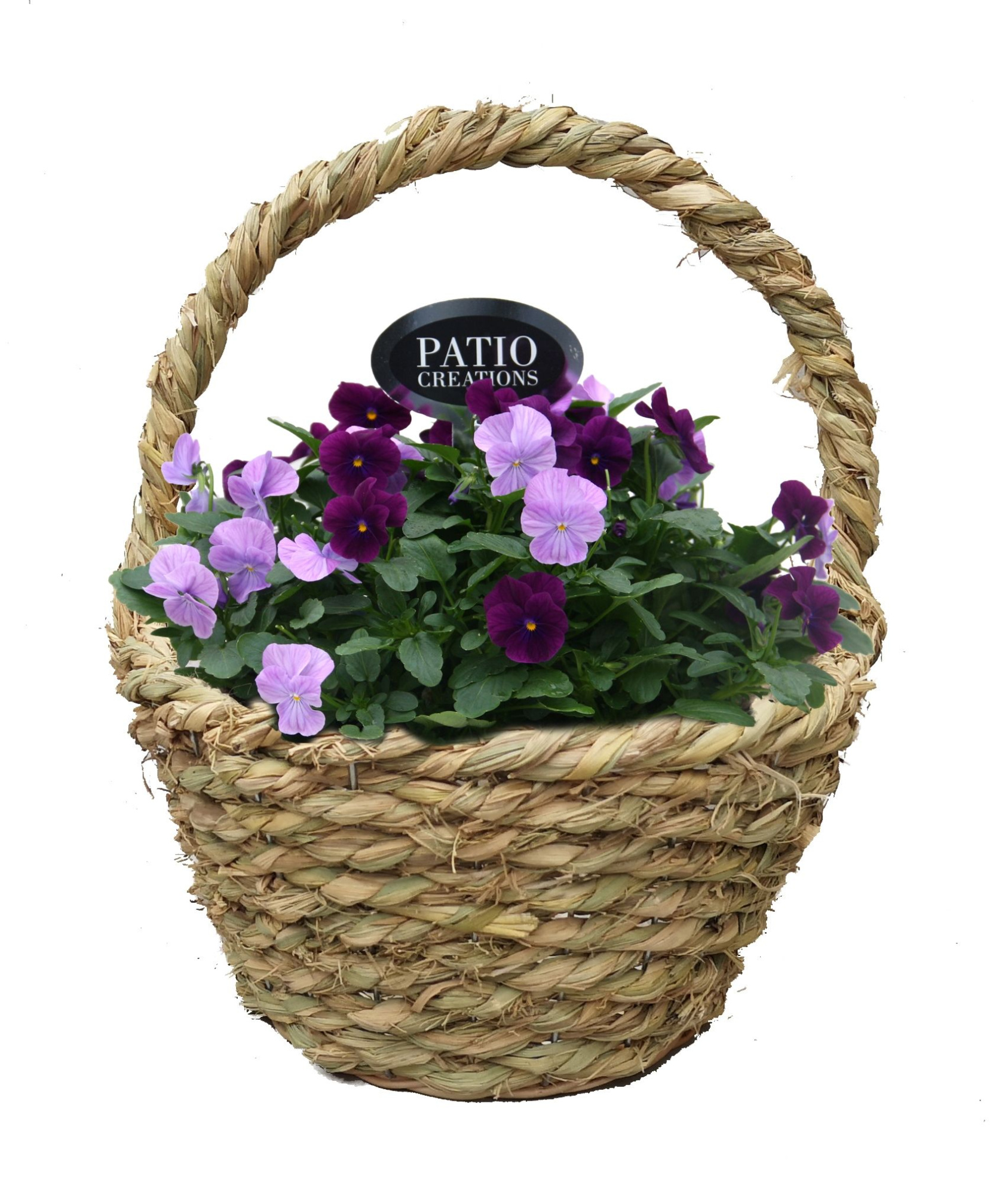 V695-9323 Viola hengselmand zeegras rond, D 24 cm