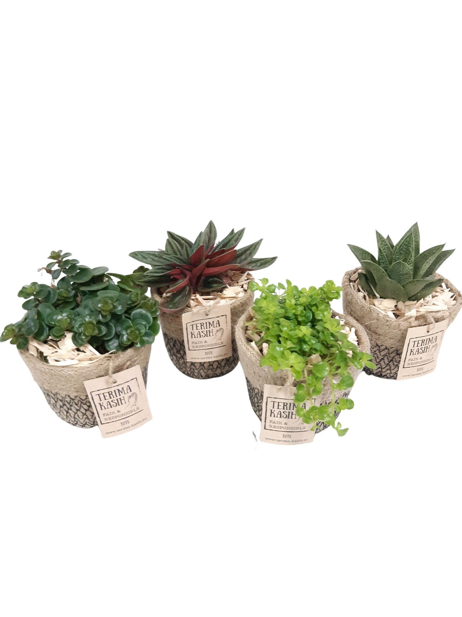 JM8GEM mini Jute Mandje mini succ.mix, D 8 cm