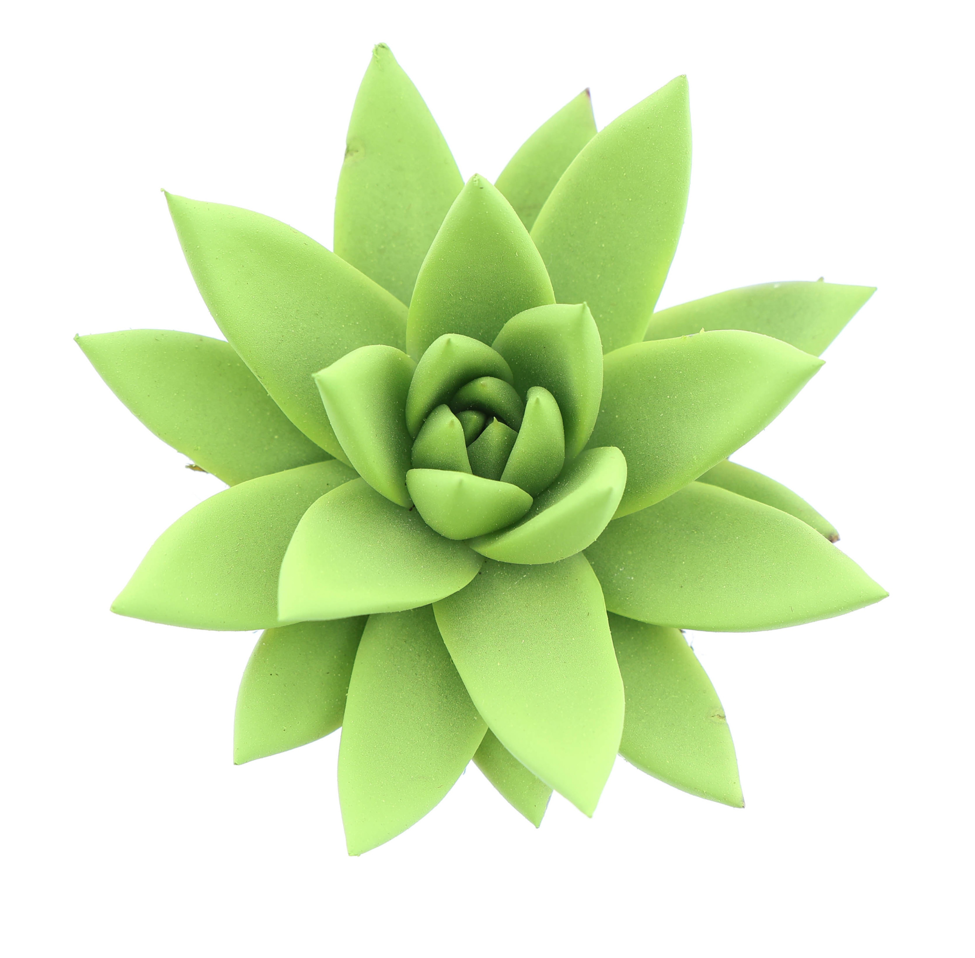 Rainbow yellow green, D 6