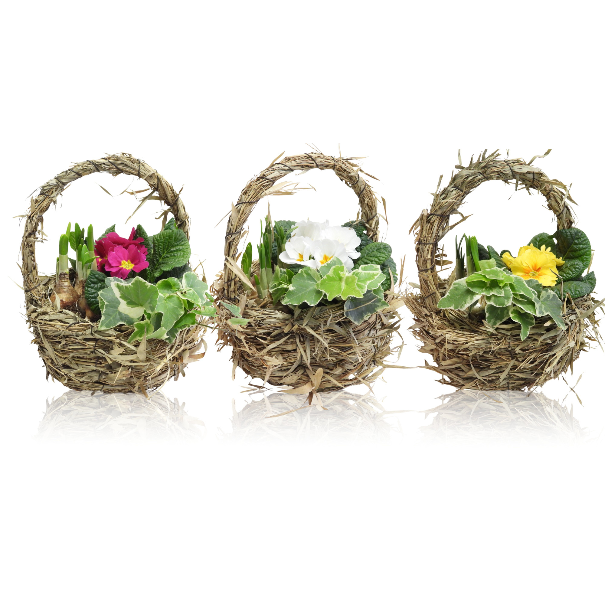 Early Spring Specials Arrangement Narcis Mand Met Hengsel 20 cm, D 20