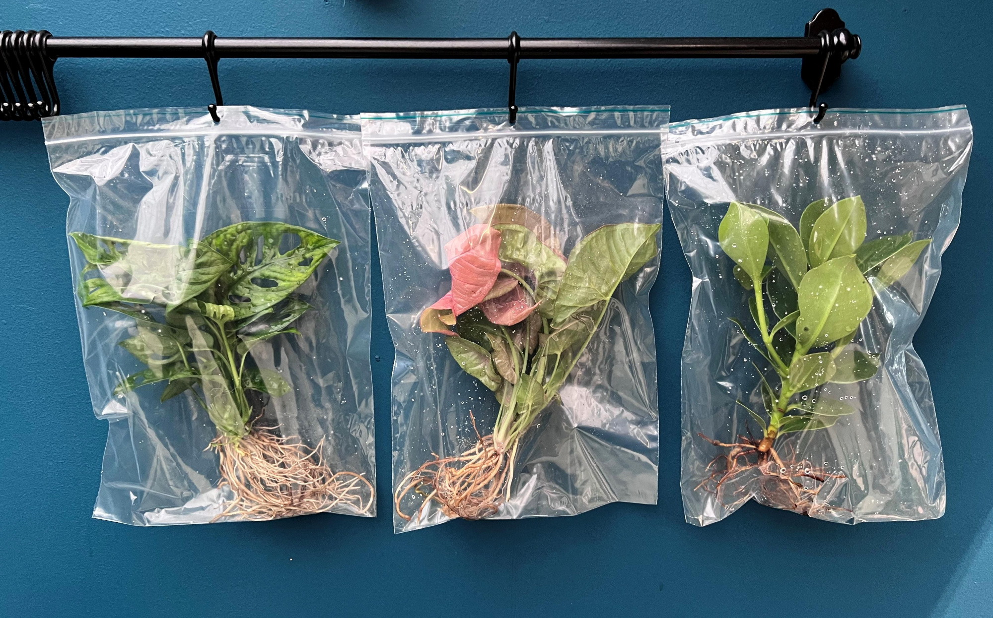 Refill Medium Hydroponie (verpakt per stuk), D 12