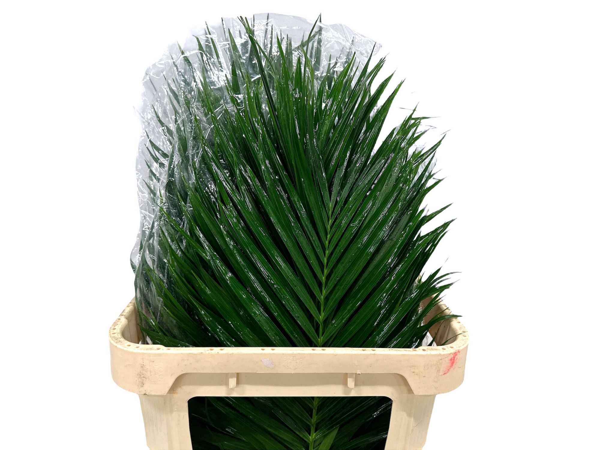 Робелини лист 80, шт.