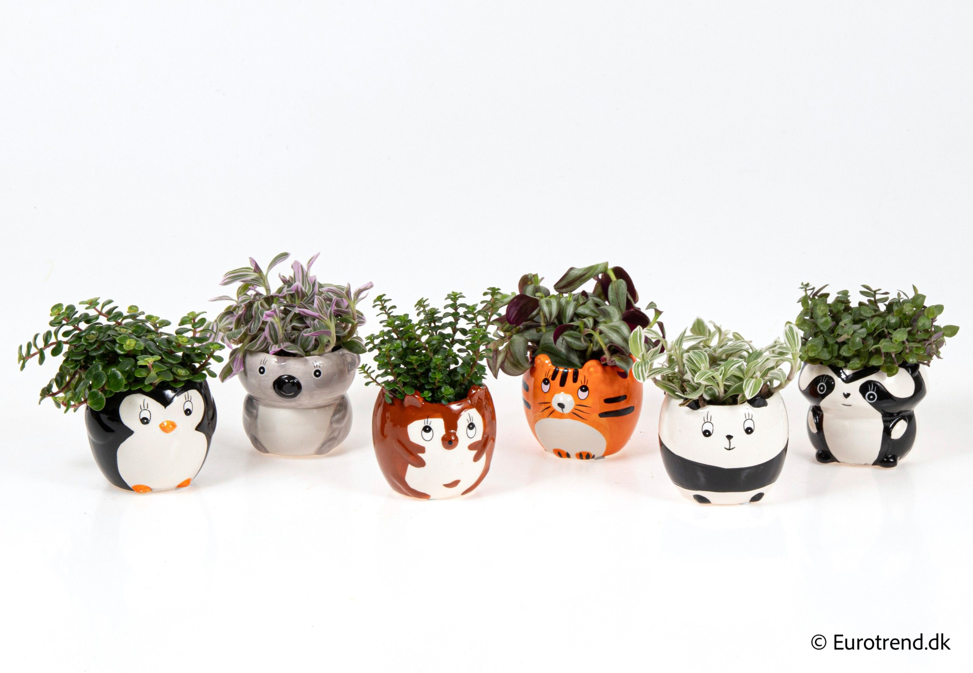 Green mix in animal ceramic - Spring, Summer & Autumn 2025, D 6 cm