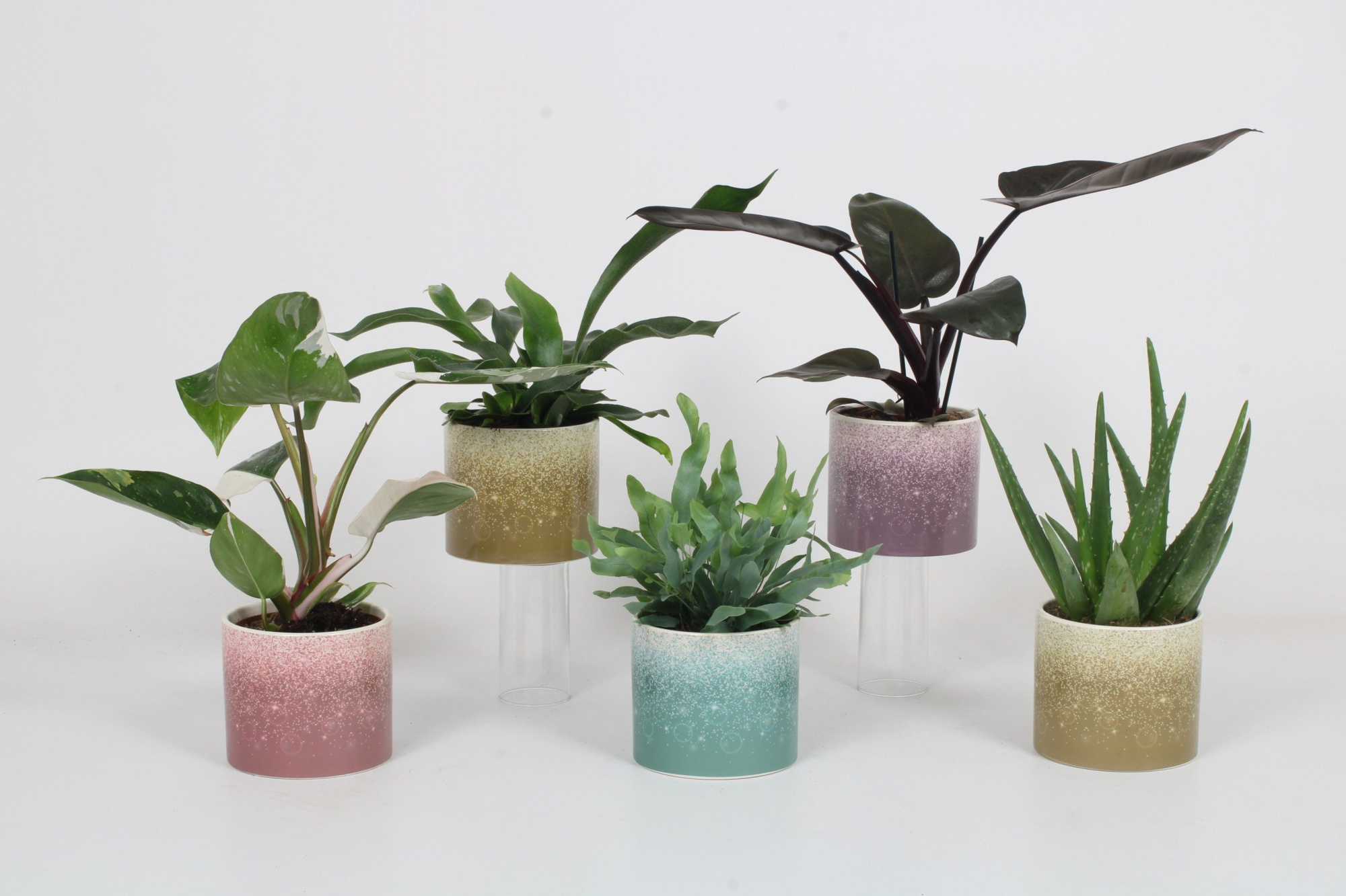 Luxe mix B in Elsa Keramiek - mailing week 7-9, D 12 cm