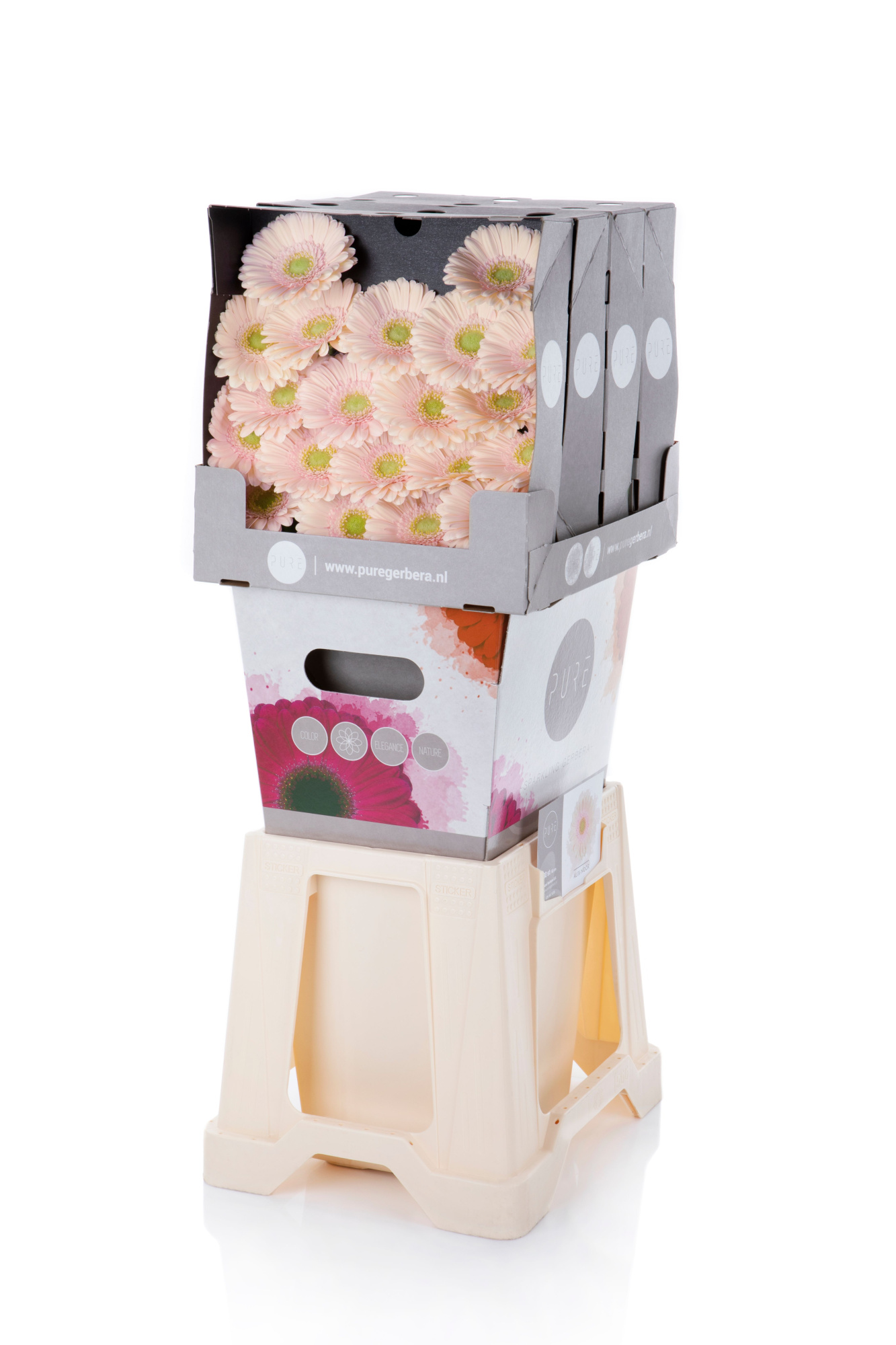 Гермини Али-нор, шт.