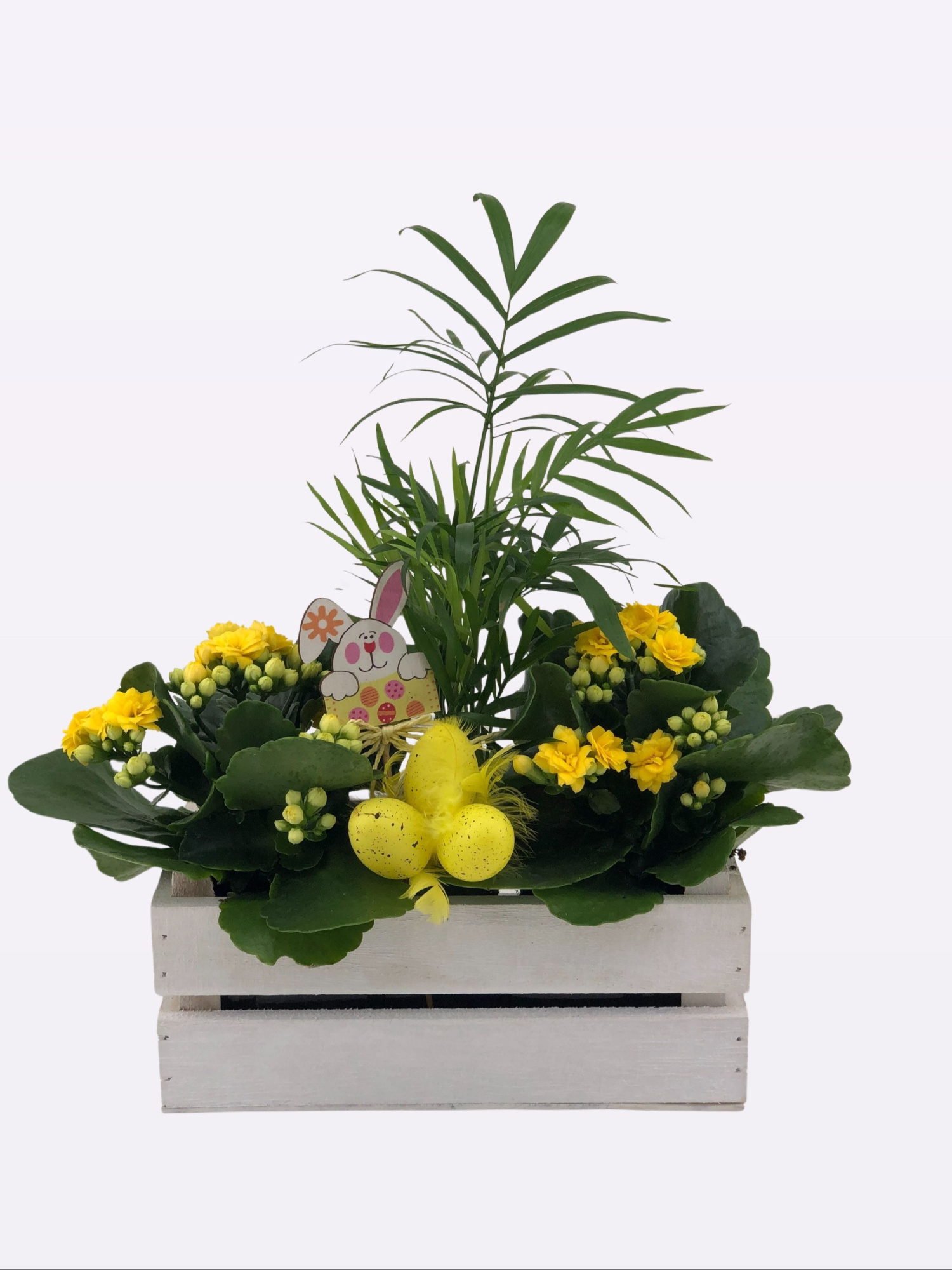 26P05 Hout bakje met diverse planten en deco, D 22