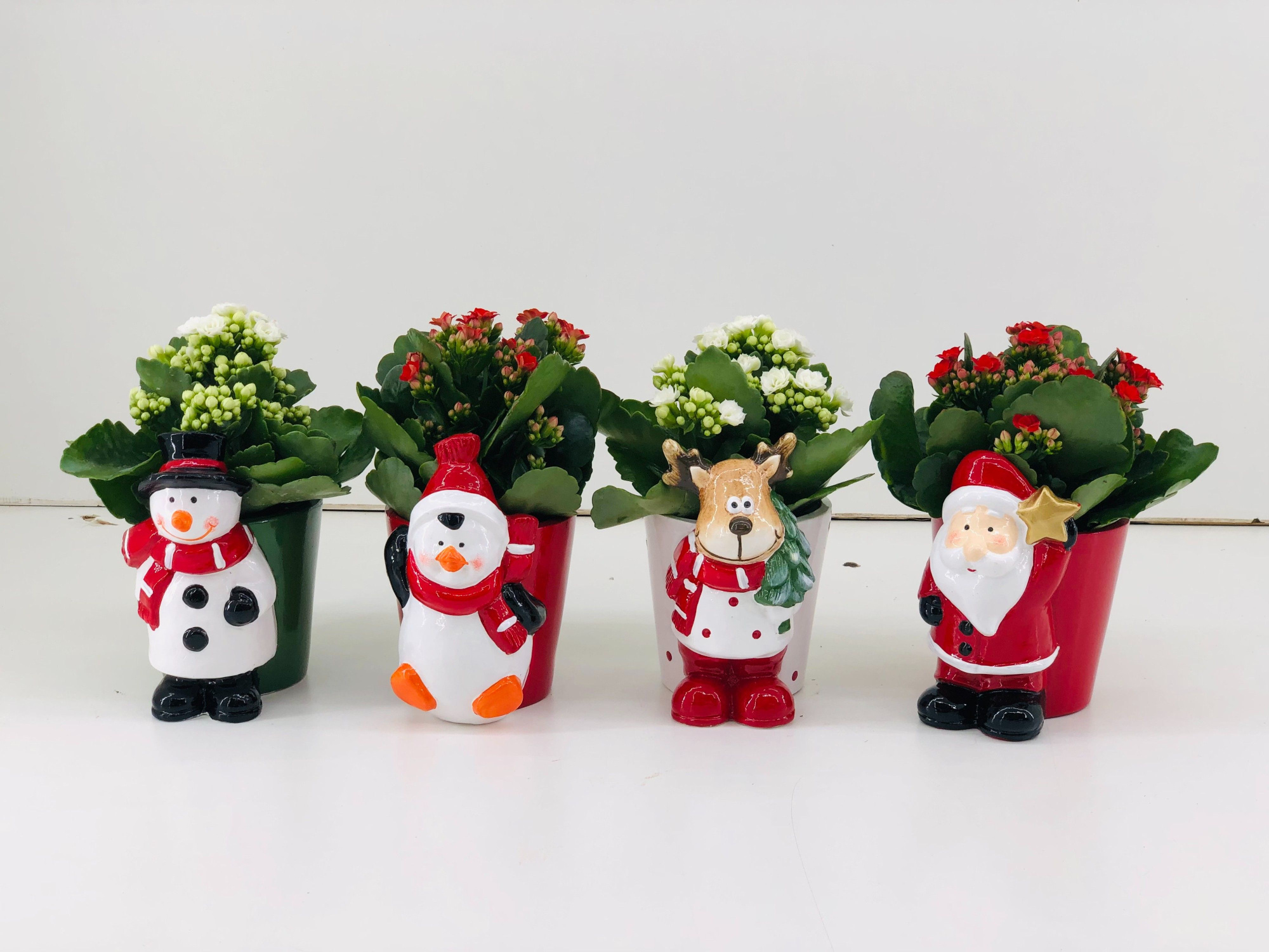 TDM P9 : 25 Kerst 8 Pot met figuur en Kalanchoe, D 9