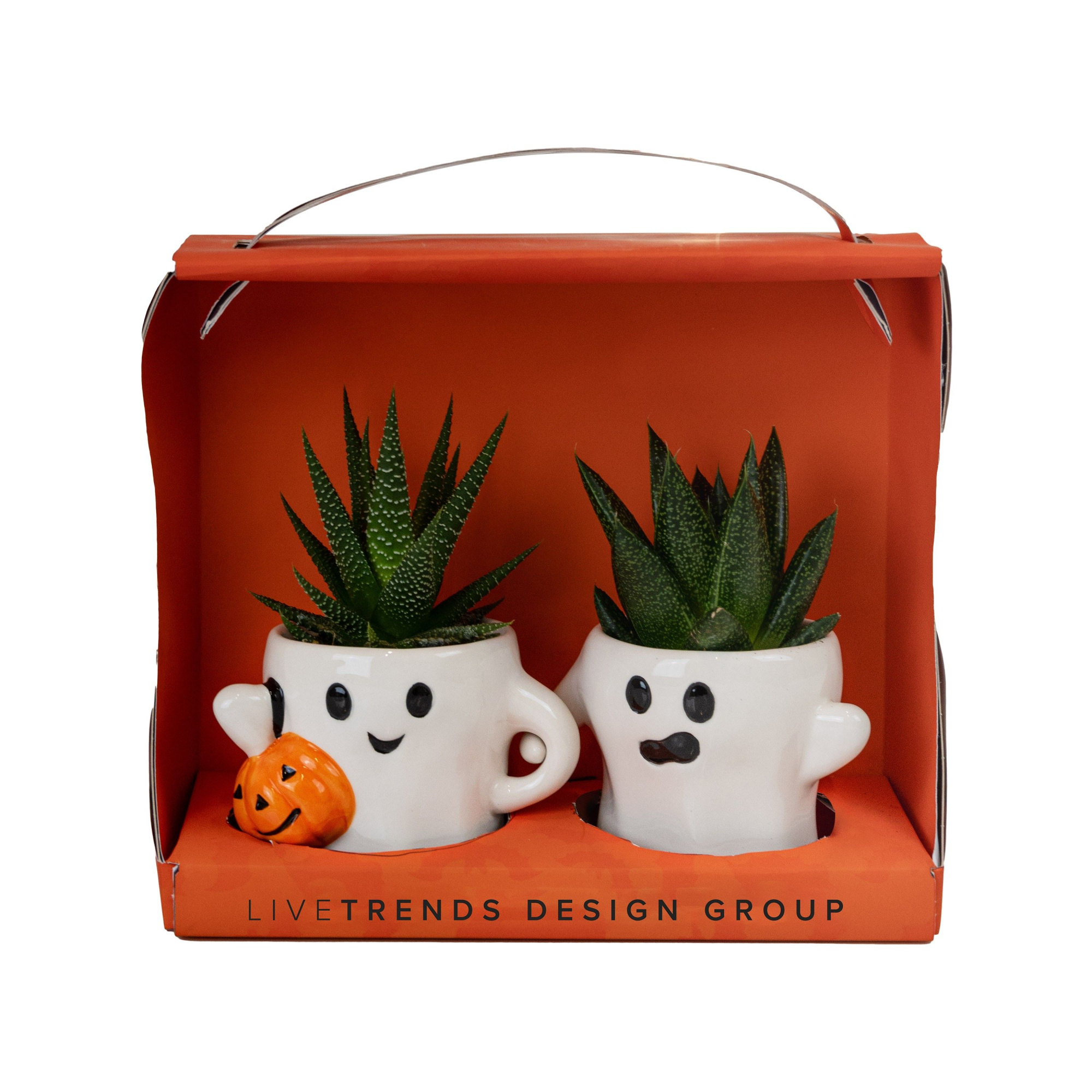 Ghost Couple in Giftbox with Succulent mix, D 6 cm