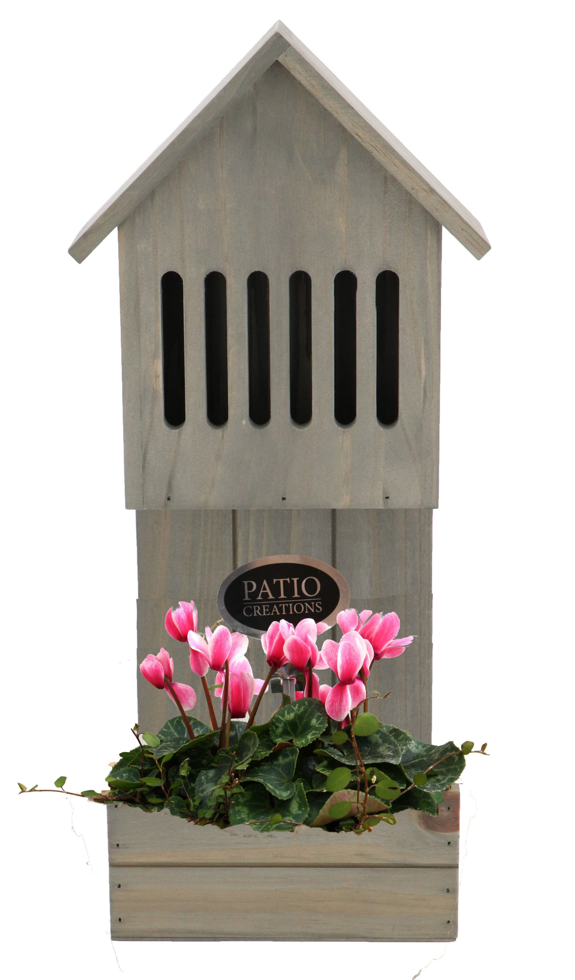 CYM815-9001 Cyclaam/Muehlenbeckia plantenbak vlinderhuis, D 18 cm