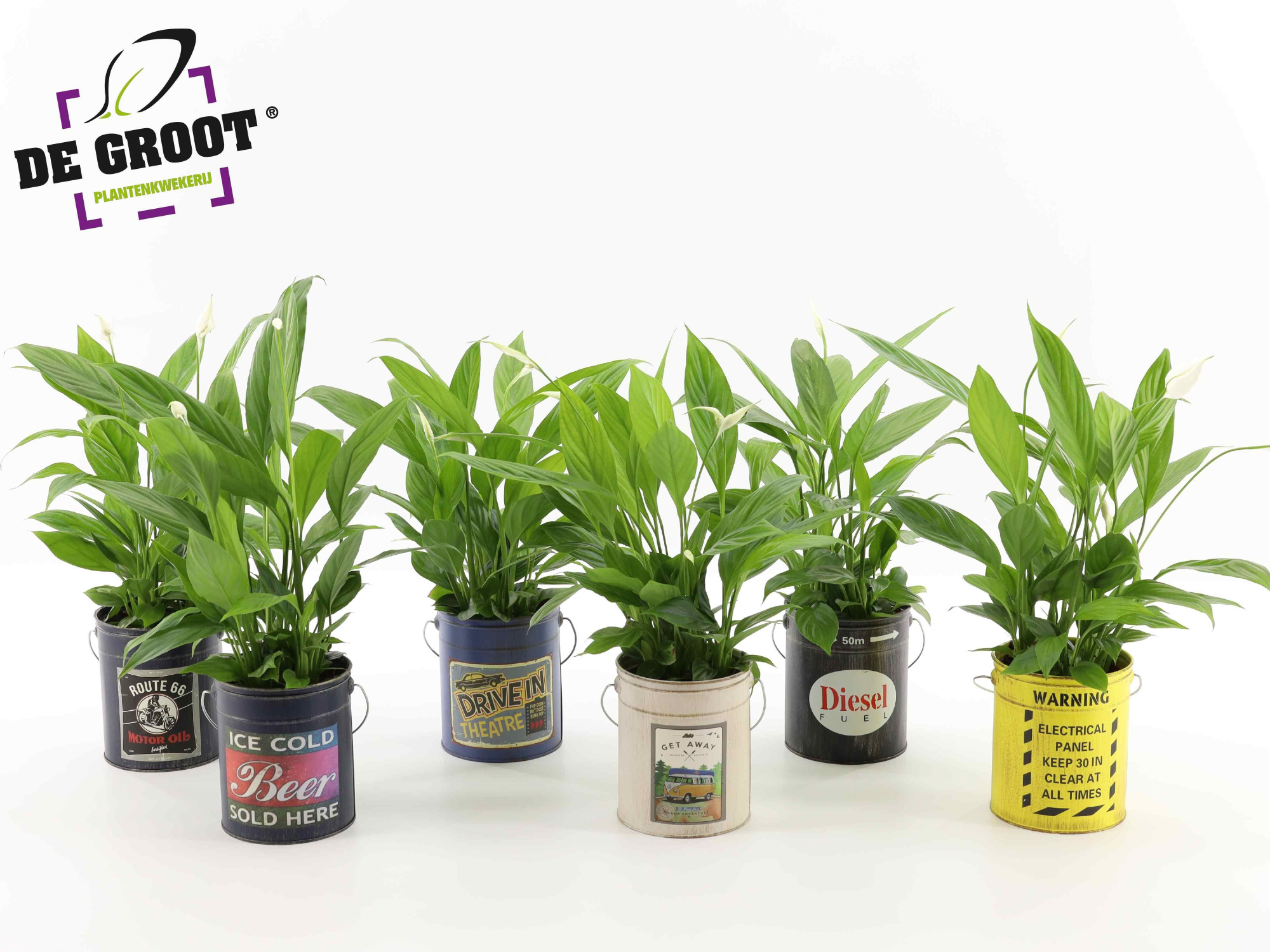 Spath in blik met hengsel, D 12 cm