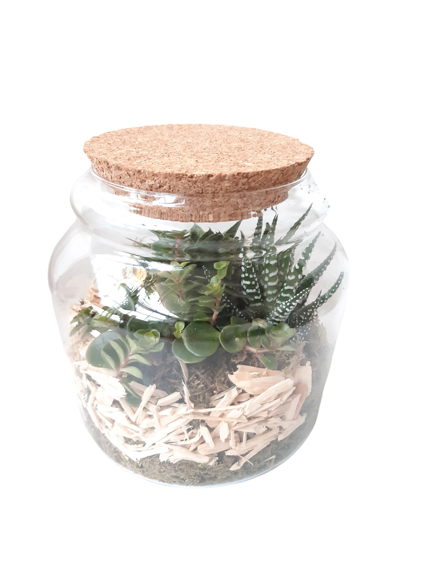 GKS17 Glass bowl + Kurk H20 Mini Groenmix, D 17 cm