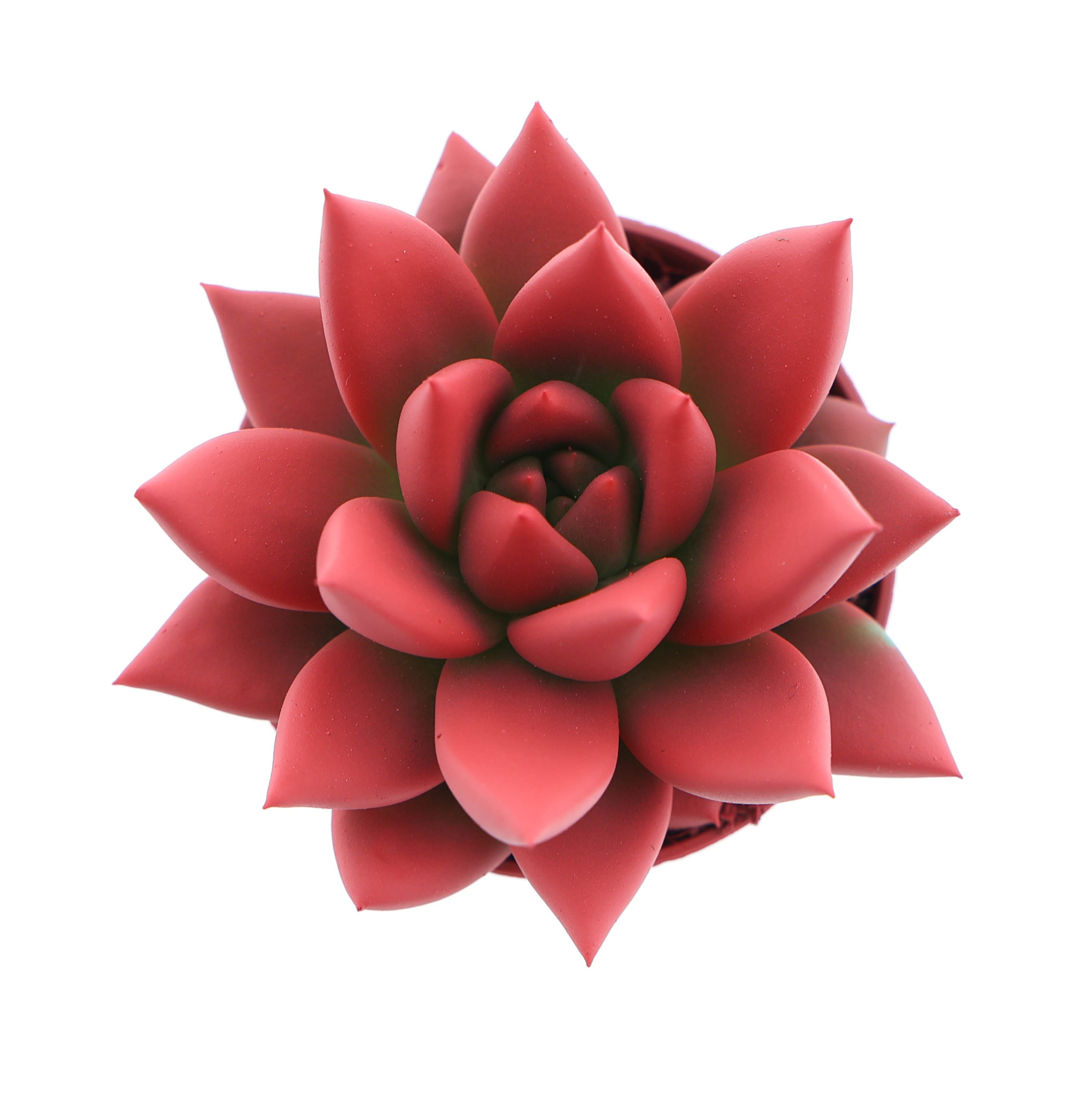 Rainbow bright red, D 5,5 cm