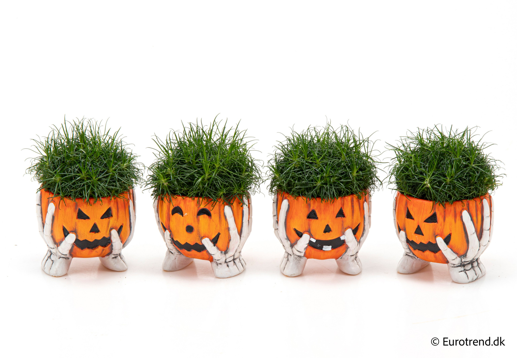 Sagina in Halloween ceramic 2025, D 6 cm