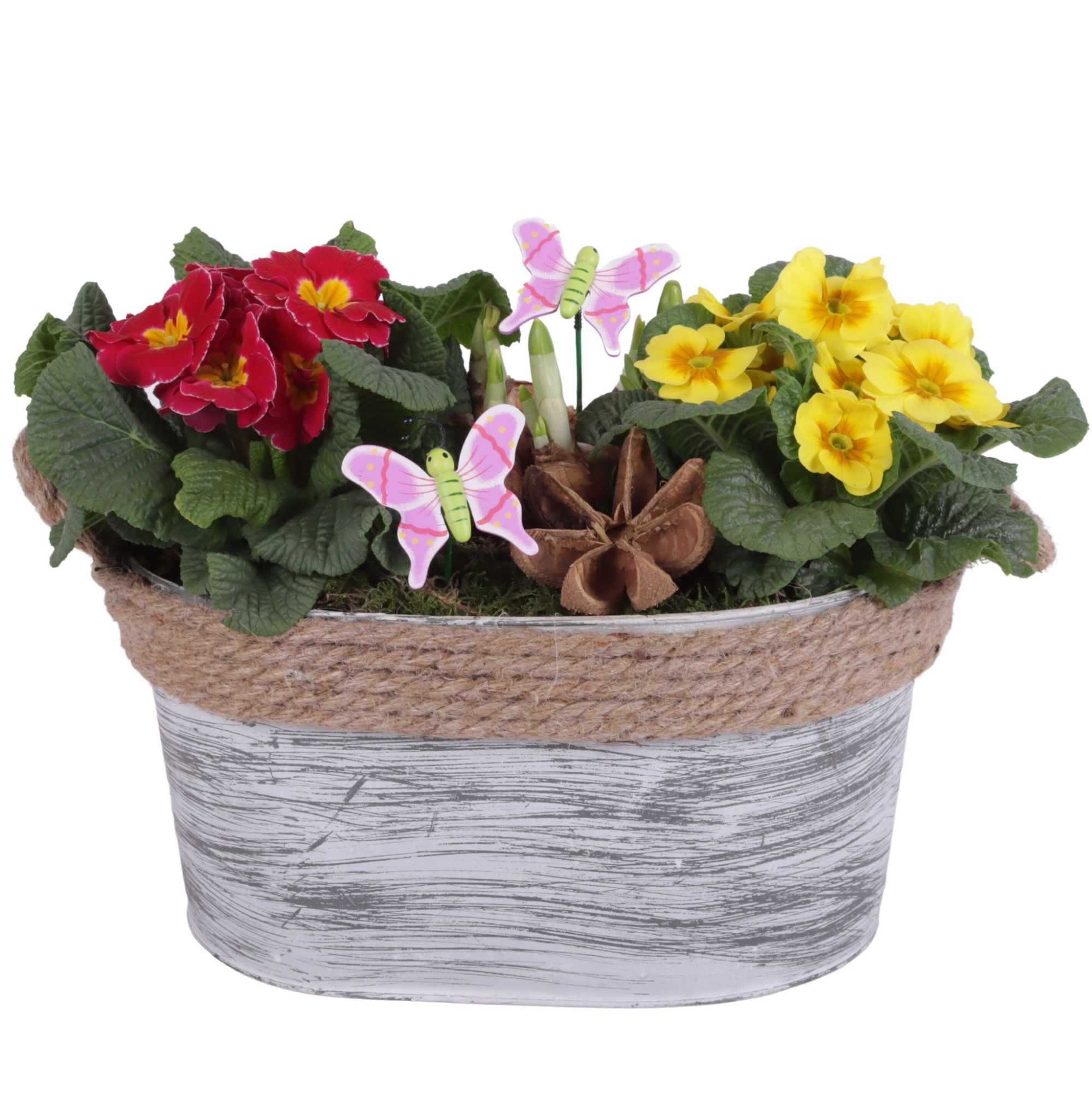 Early Spring Arr. Outdoor Zinc Pot Oval Rope Ø29cm 3PP, D 29