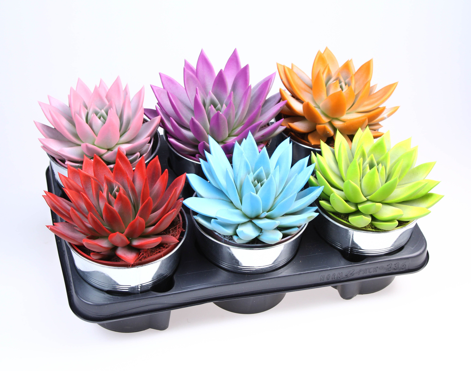 Rainbow zinkpot, D 15 cm