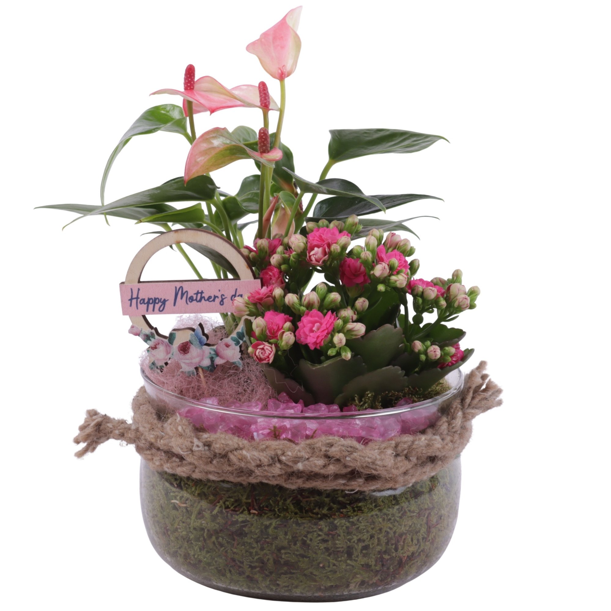 Mothersday Arr. Indoor Glass Bowl Ø16cm 2PP, D 16