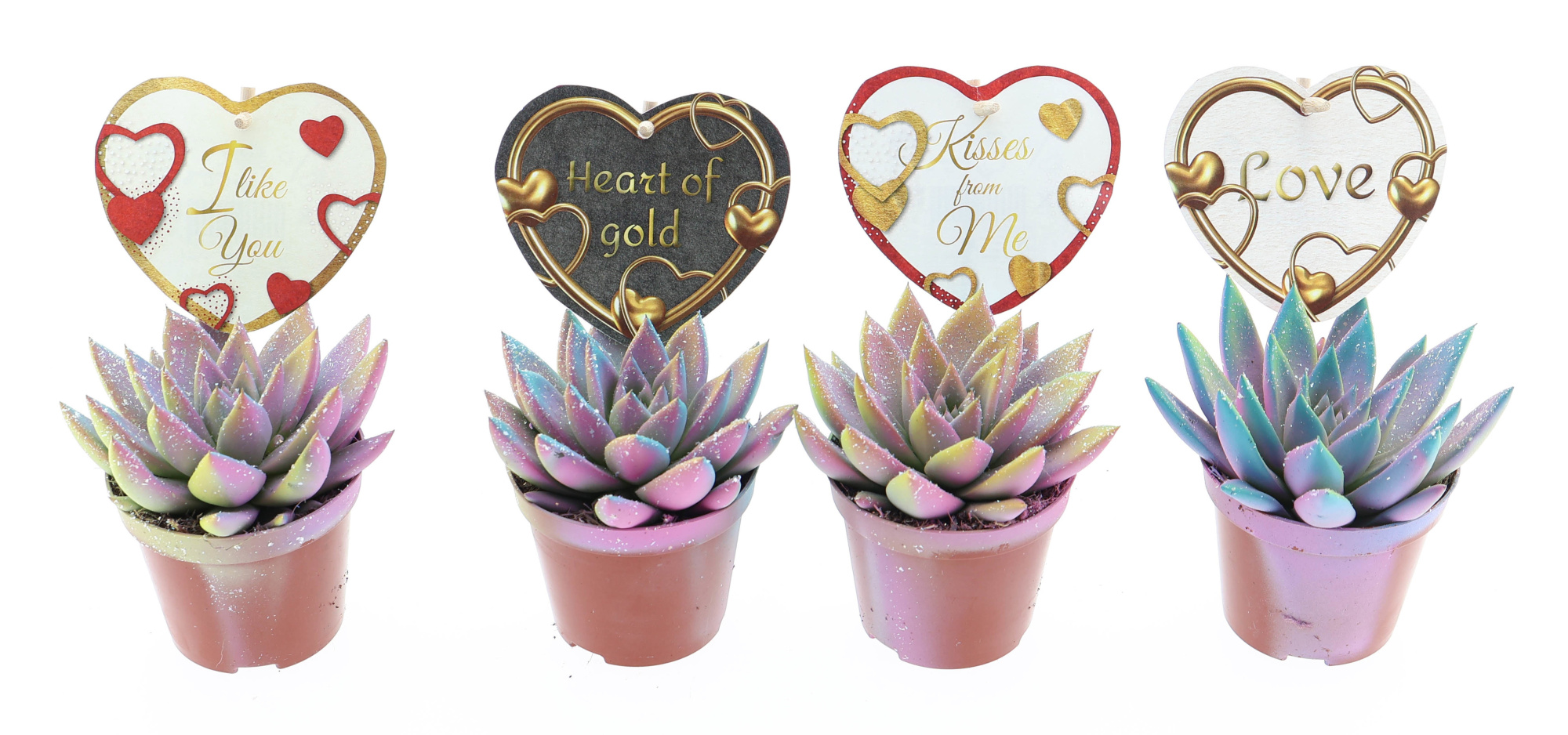 Miranda multi glitter + love etiket, D 8,5