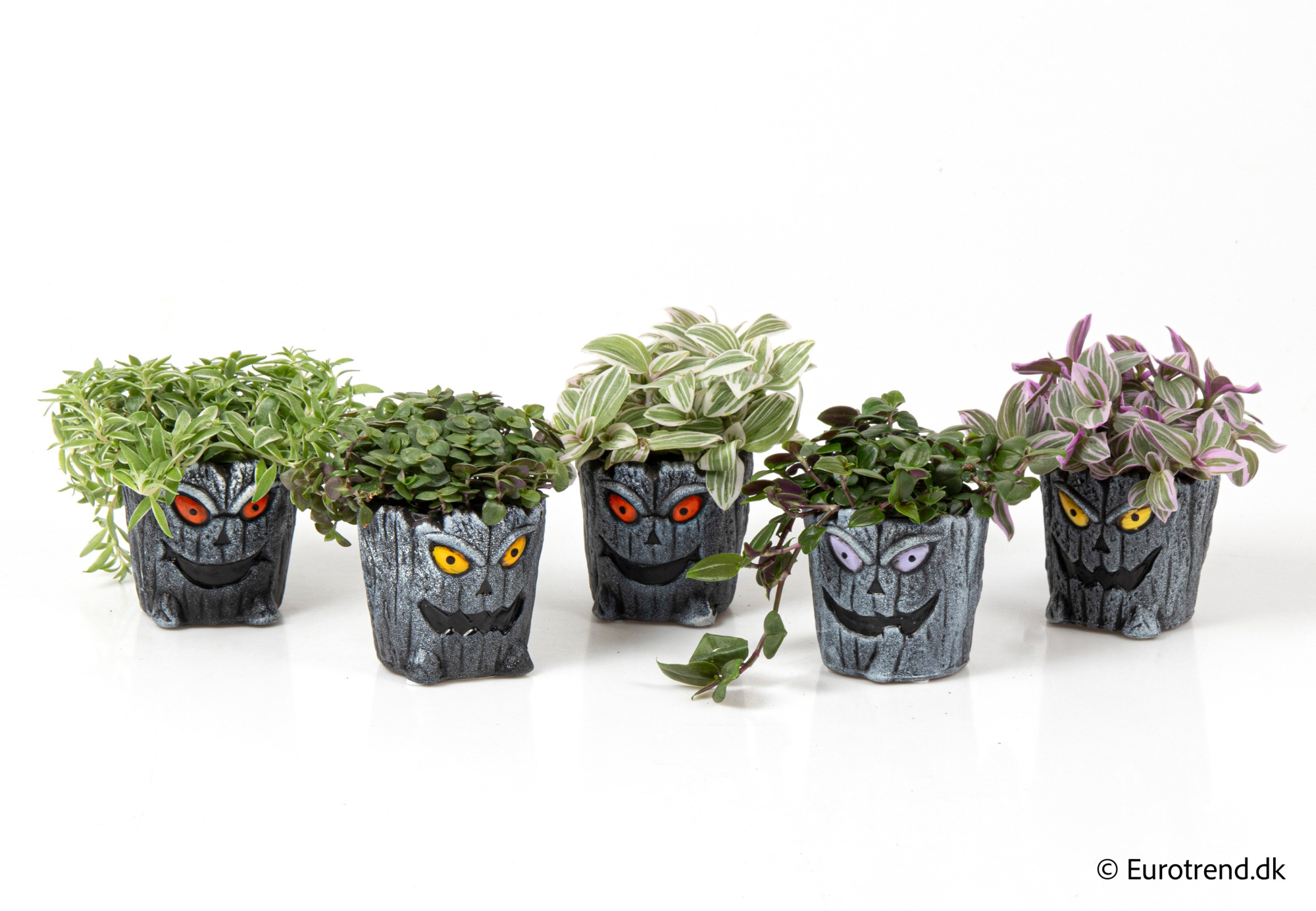Green Mix in Halloween ceramic 2025, D 6 cm