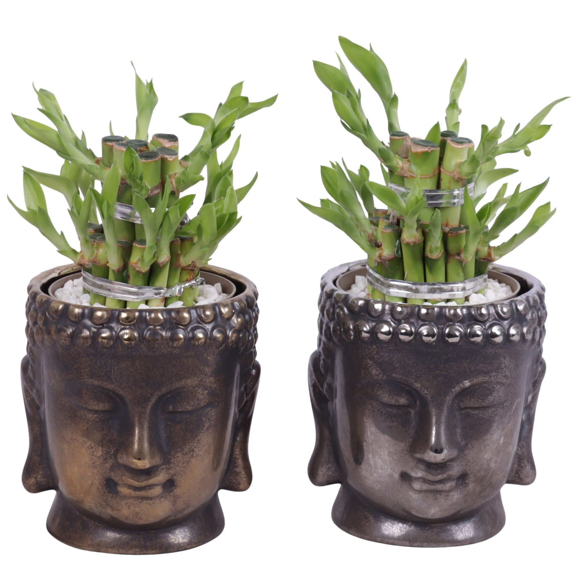 Lucky Bamboo Shape Round 2S in Ceramic Buddha Gold/Silver Ø12cm, D 12