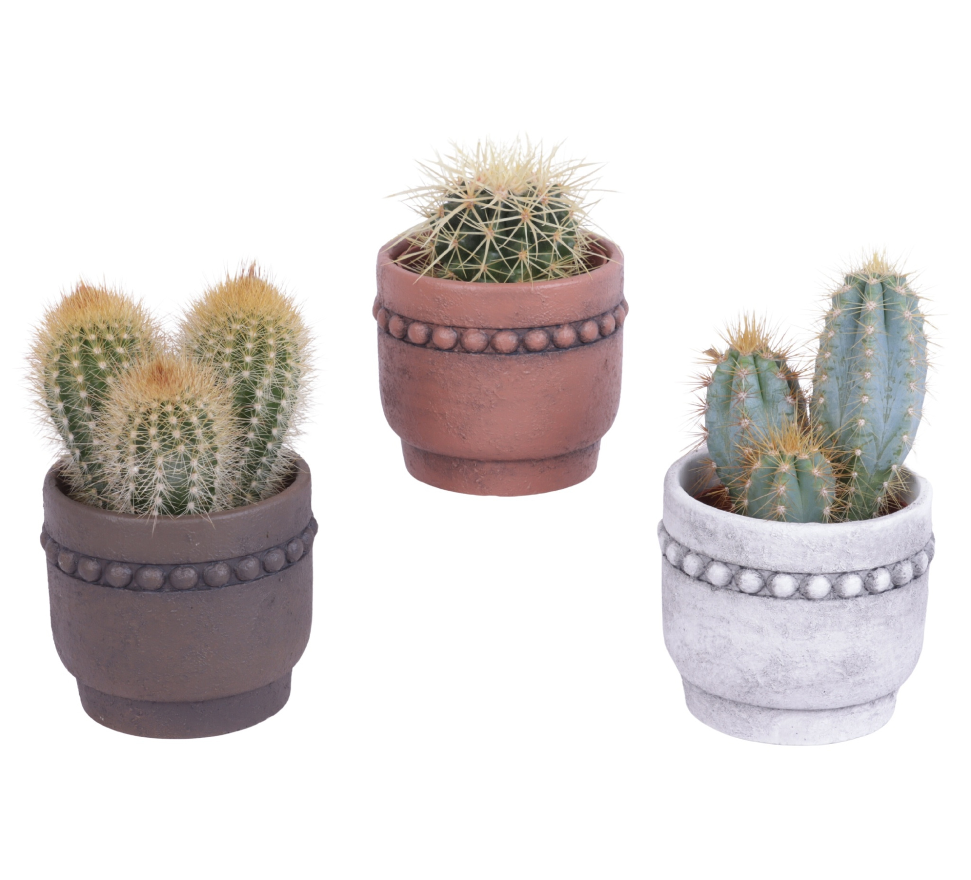 Cactus mix Ø8,5cm in Ø10cm Ceramic Pot Beads Rim, D 10