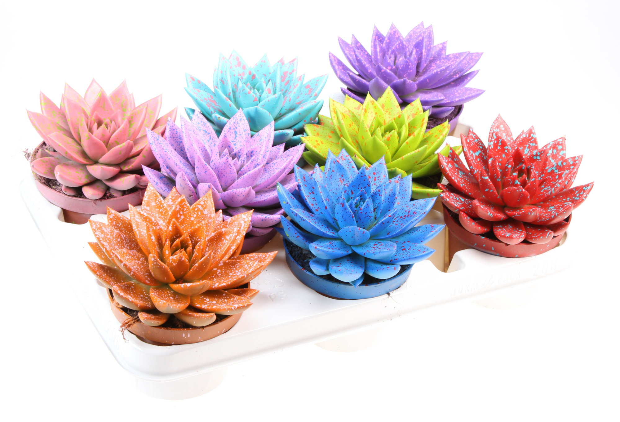 Rainbow sprinkle mix, D 10,5 cm