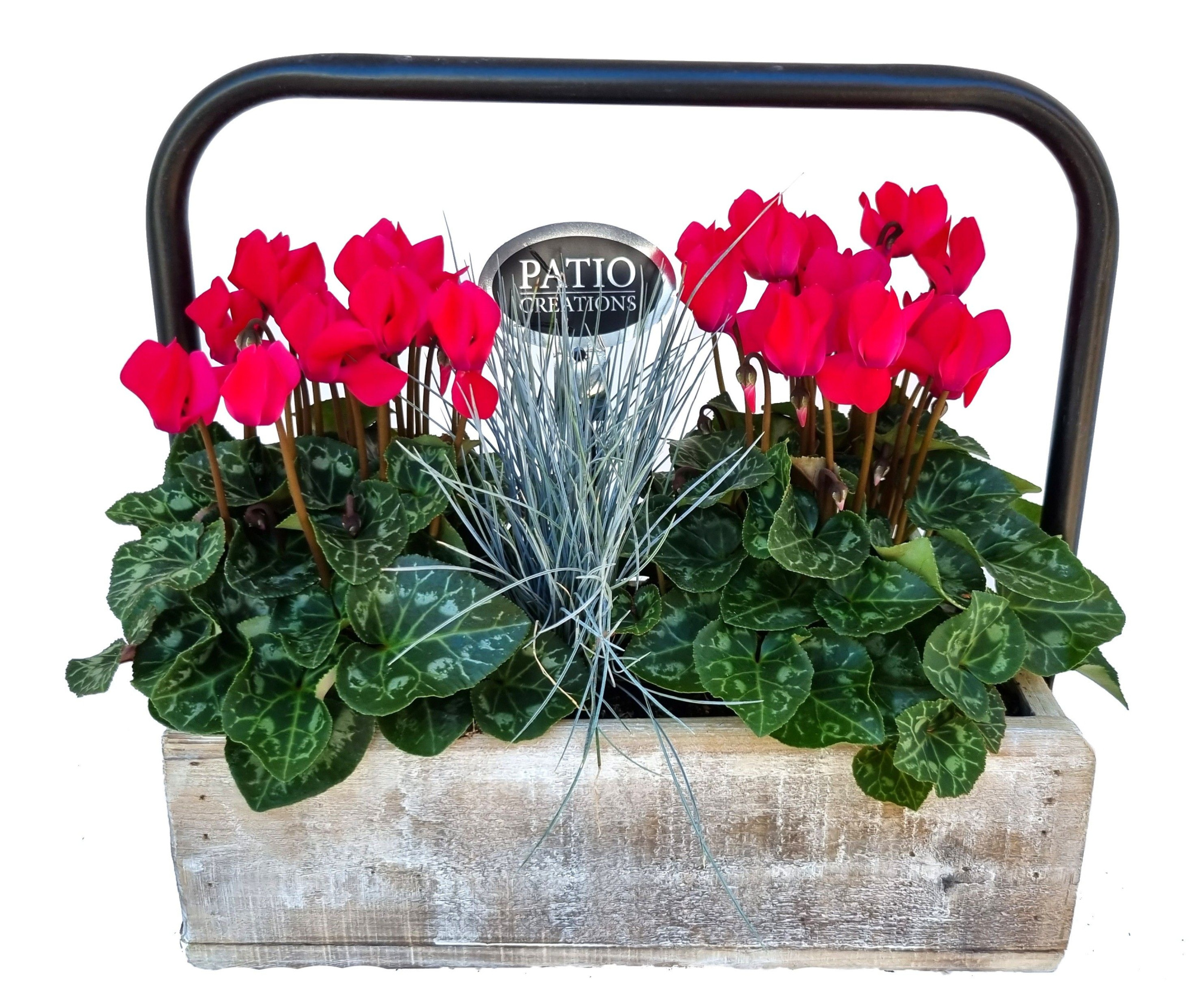 CYF671-9003 Cyclaam/Festuca dennenhout metaal hengsel M, D 32 cm