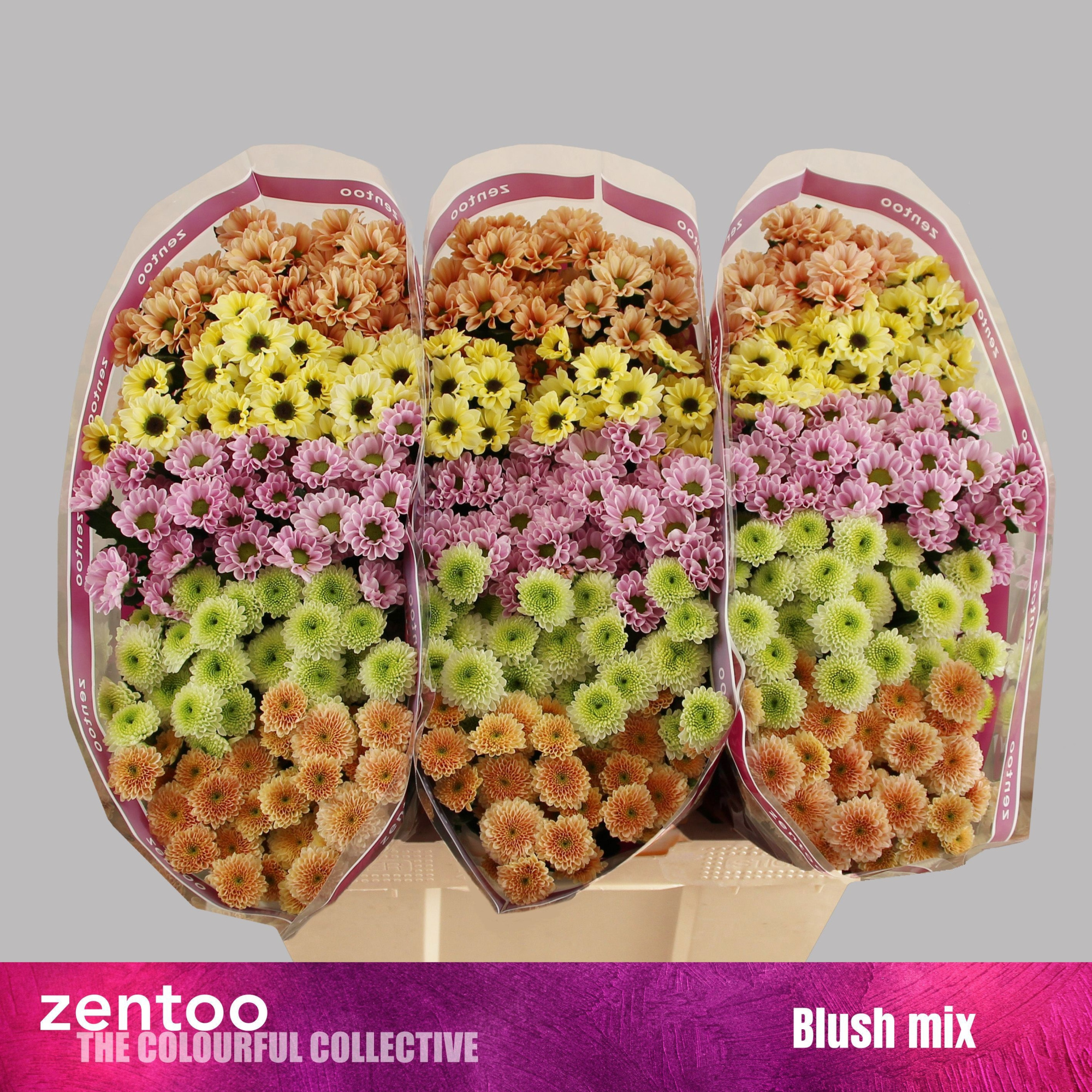 Сантини Микс, шт.