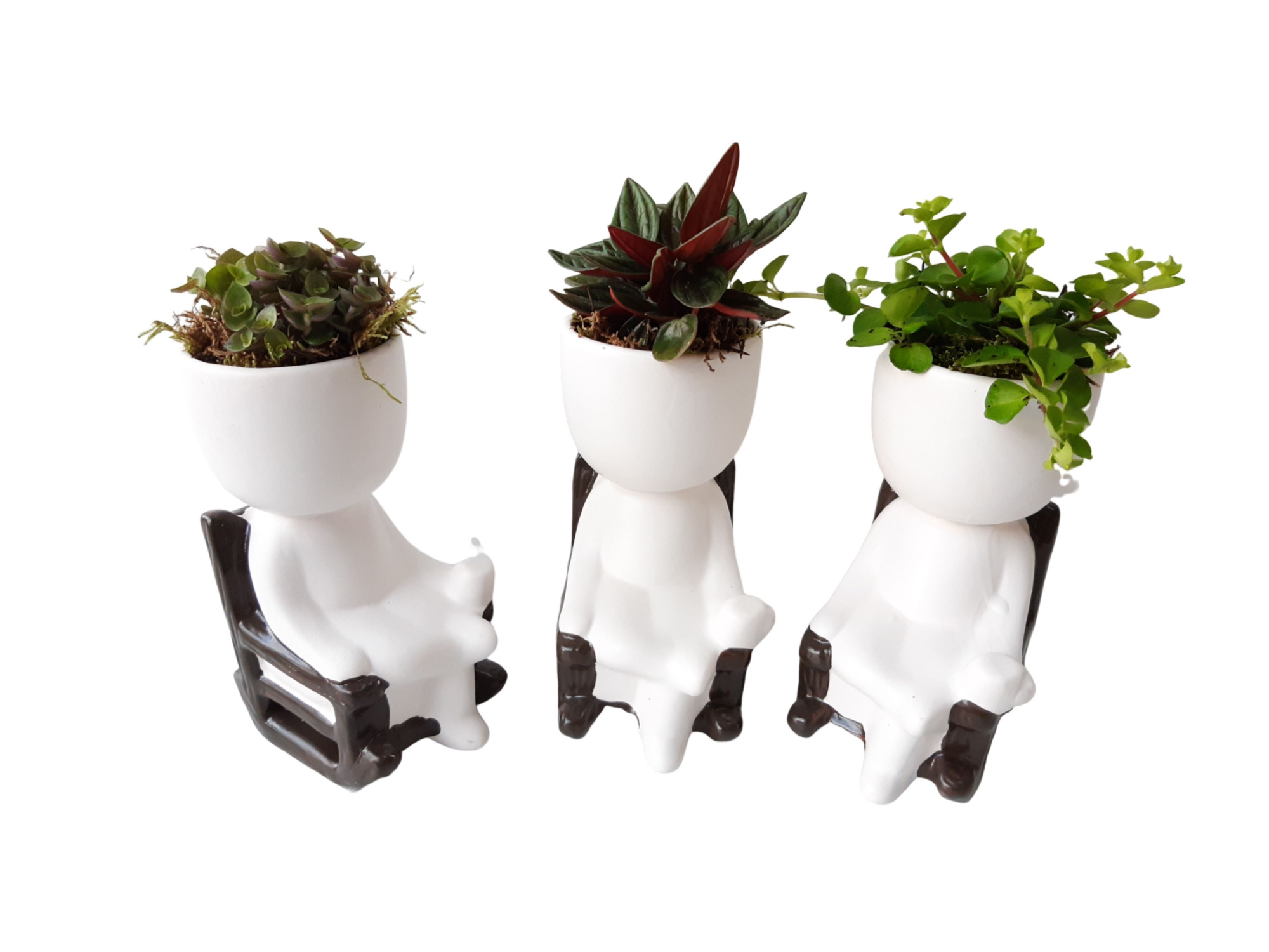 Chillings Schommelstoel D10 H15 Mini plantmix, D 10