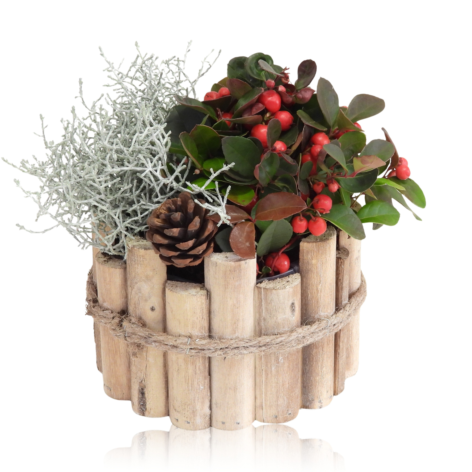 Collectie Anna Winter Arrangement in Houten Bak 17 cm, D 17