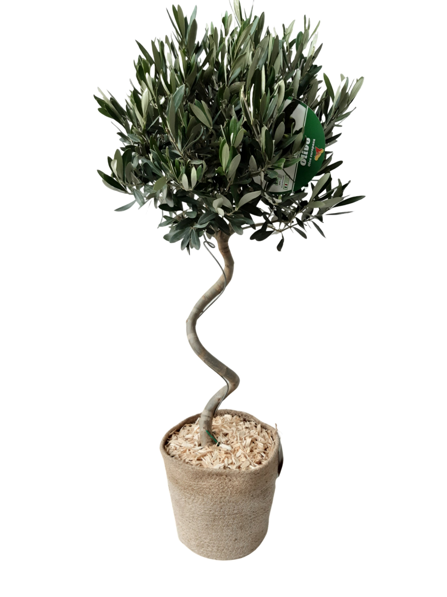 MJ24OS Olea Europaea Spiraal Jute Mand D24, D 24