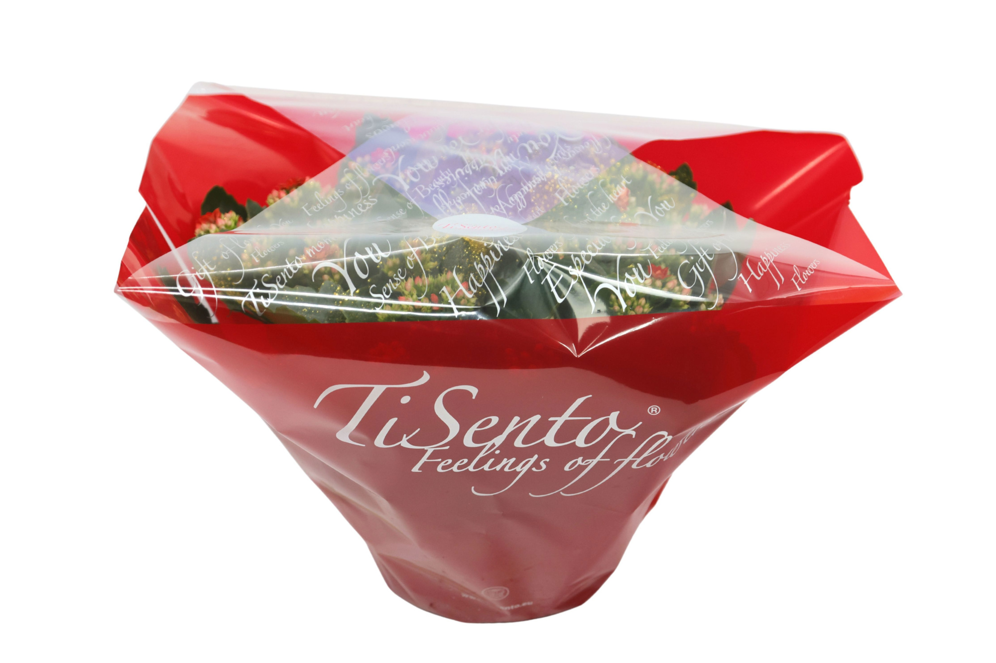 Calandiva 23 cm floristen hoes rood met glitter, D 23