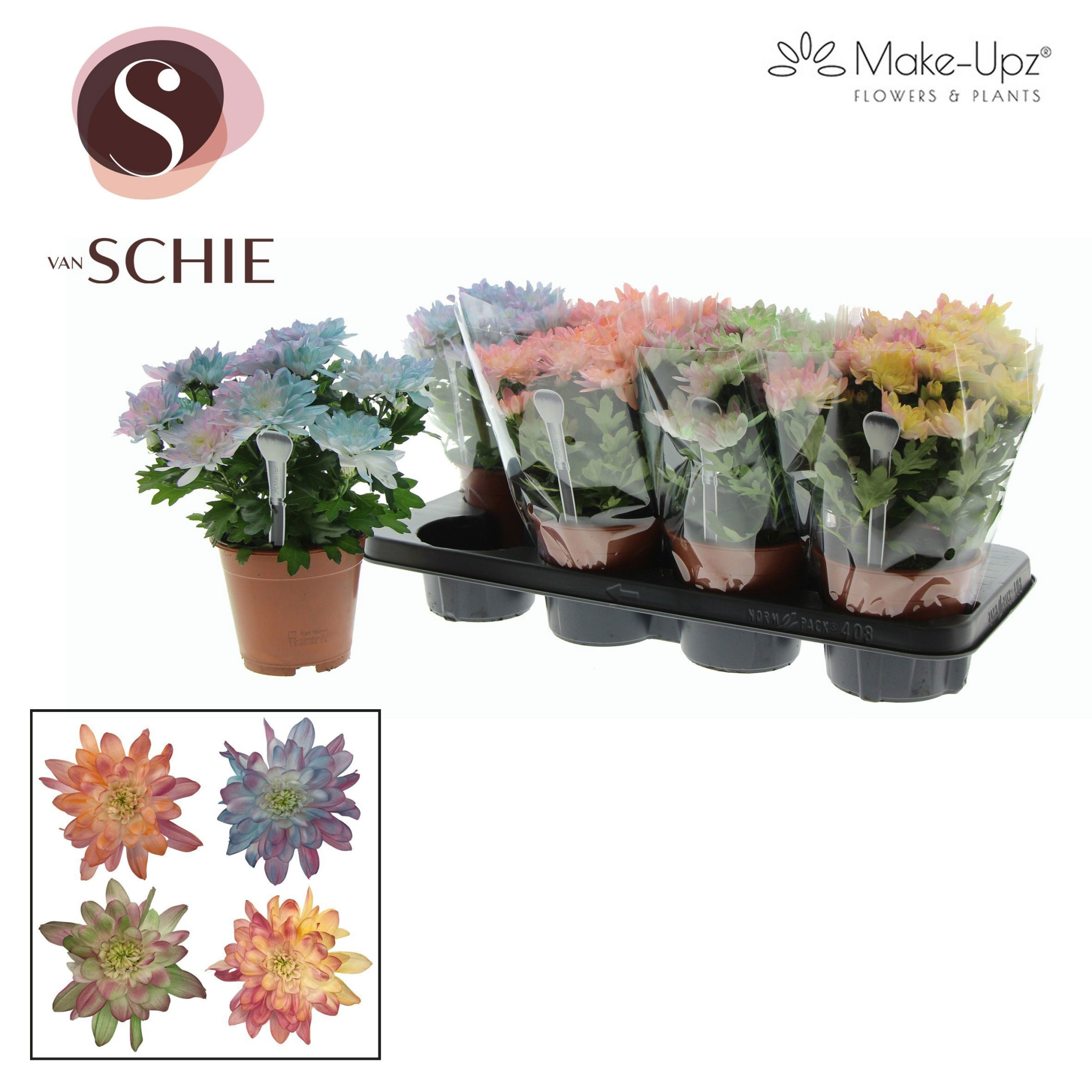 Chrysanne Grandezza Make-Upz® Party Mix, D 13 cm