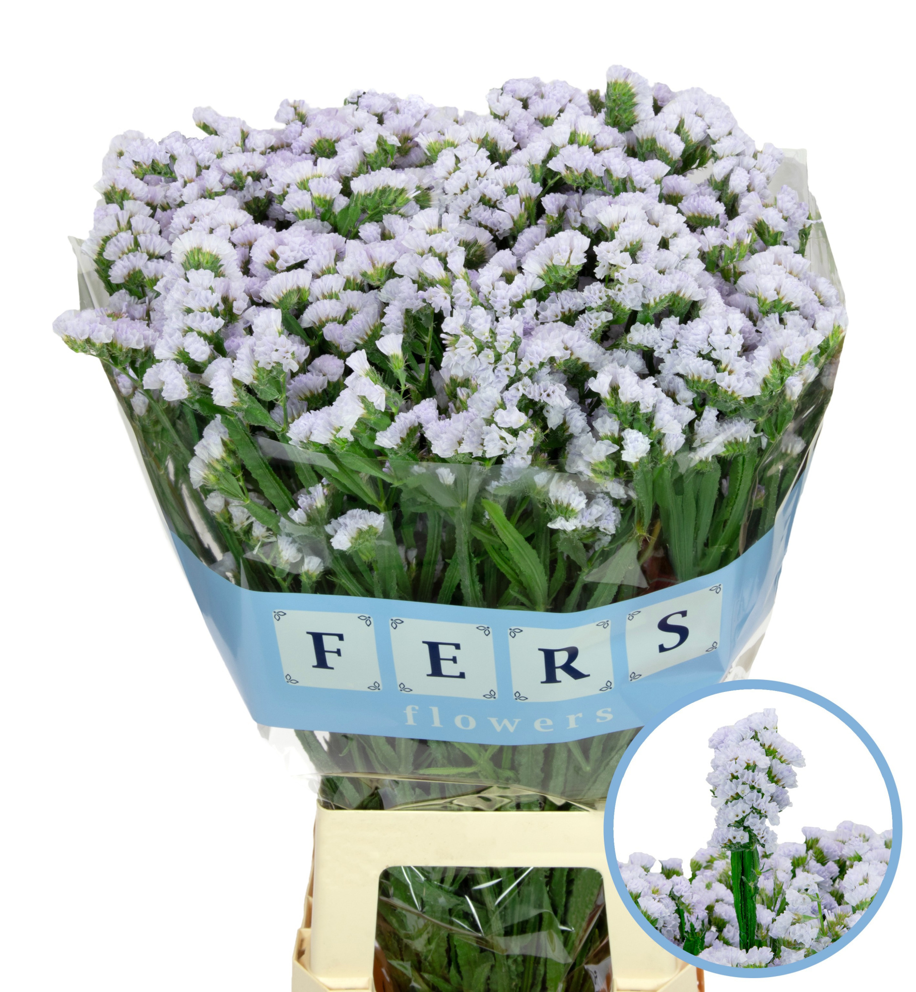 Статица Силки Вингз 60, шт.