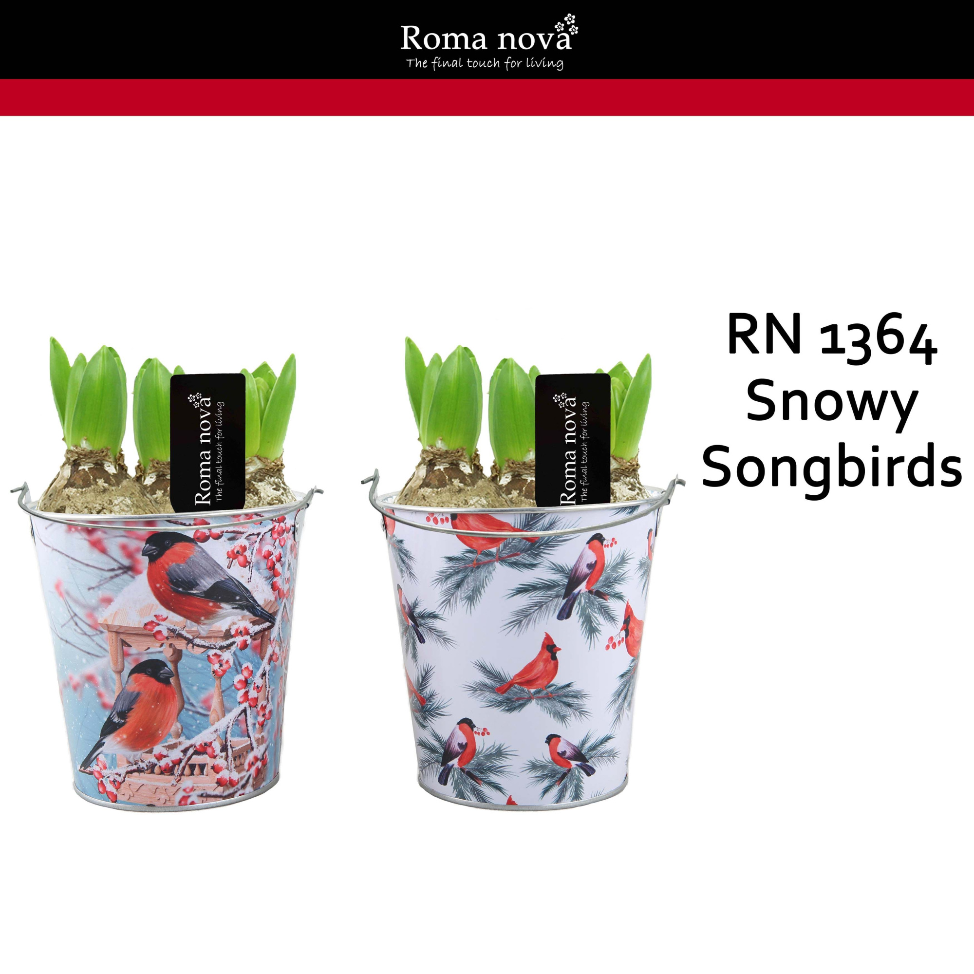 1364 - Snowy Songbirds (Hyacint), D 14