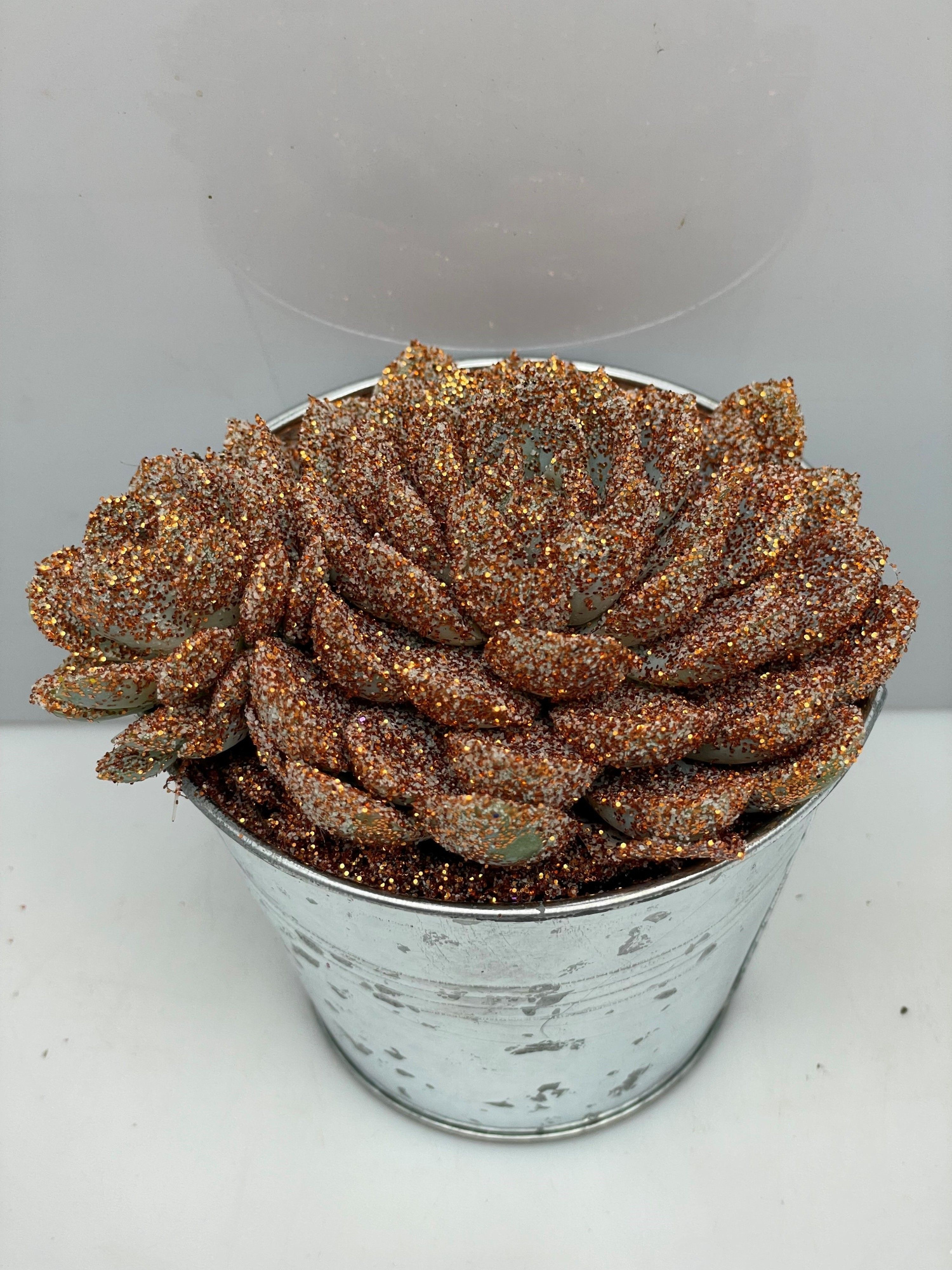 467kerstster BIO Twinkle glitter brons zinkpot8,5cm, D 9,5 cm