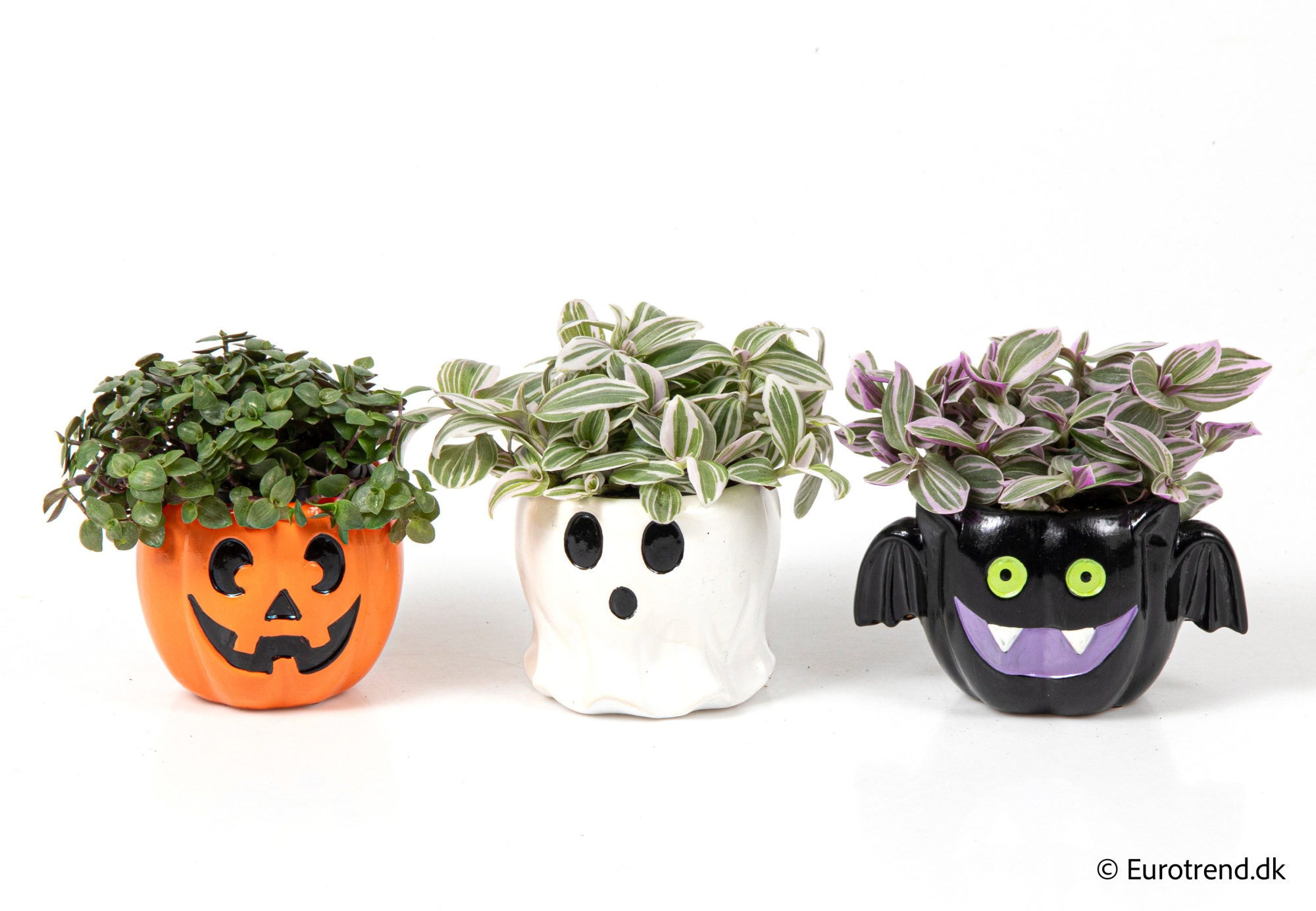 Green Mix in Halloween ceramic 2025, D 6 cm