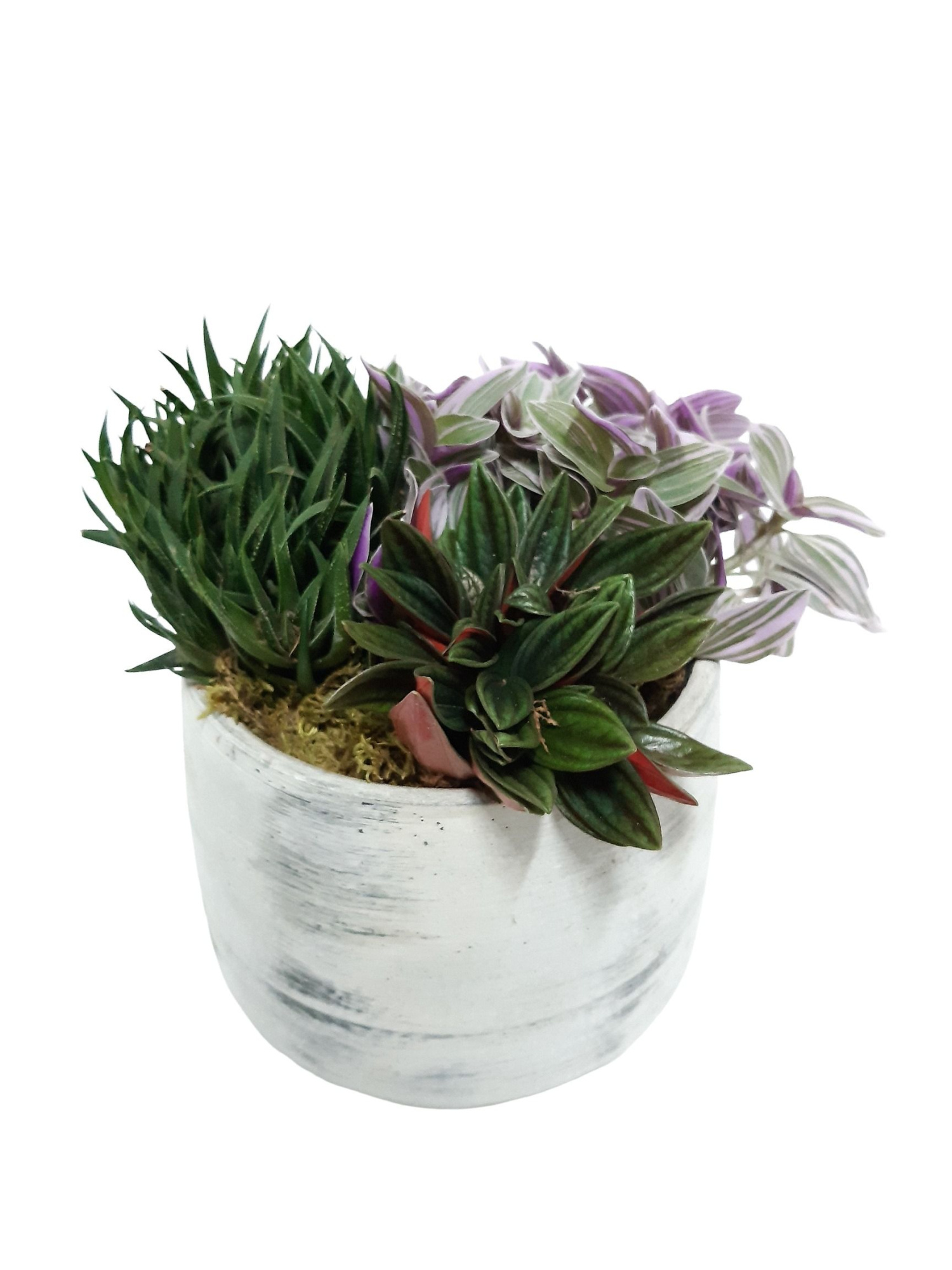 VPR18HMX Vintage pot D18 groenmix Trad.Pep,Haw, D 16 cm