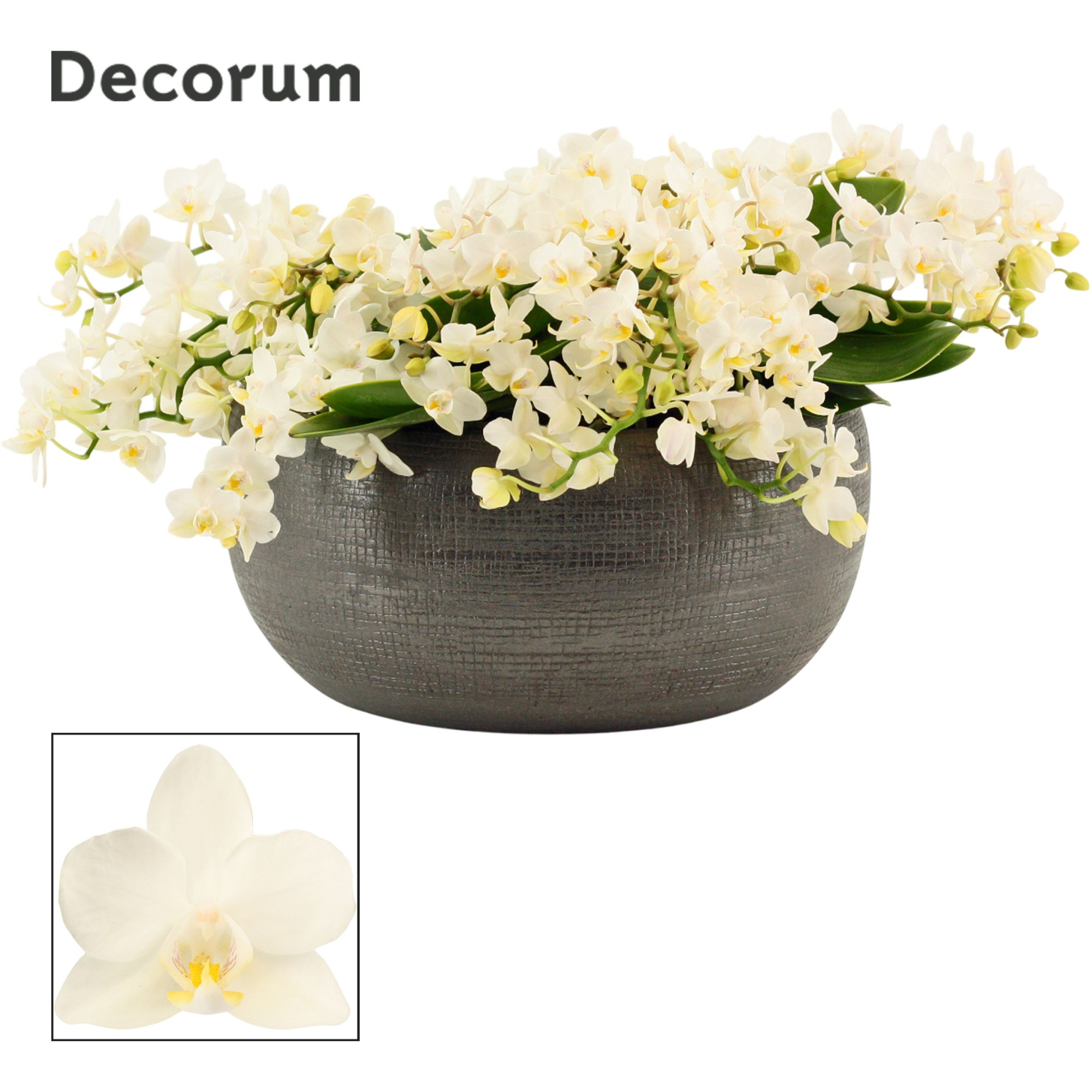 Nero table Whitney 12+ tak symphony (Deco-collection), D 27 cm